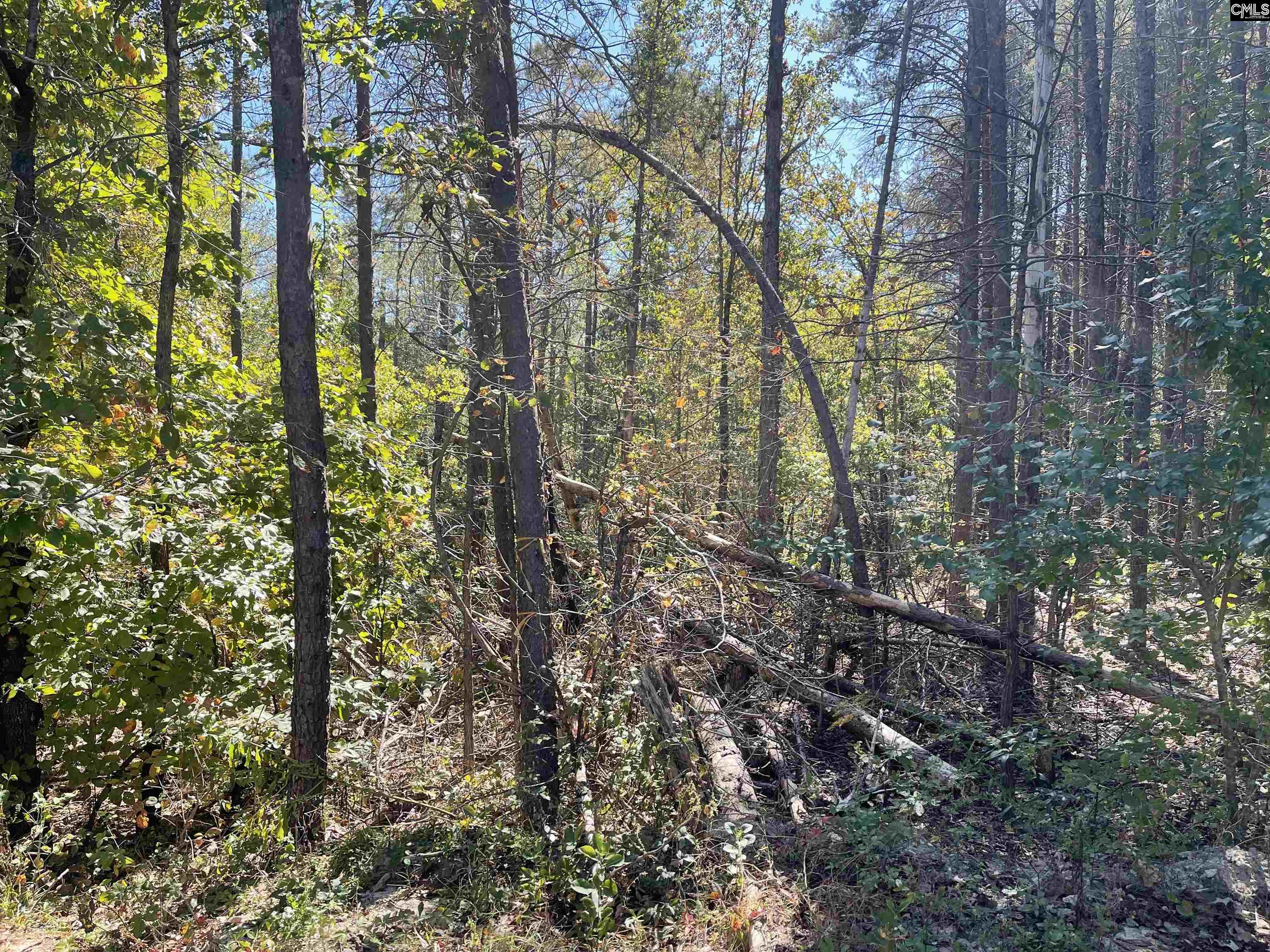 1809 Louise Court Lugoff, SC 29078
