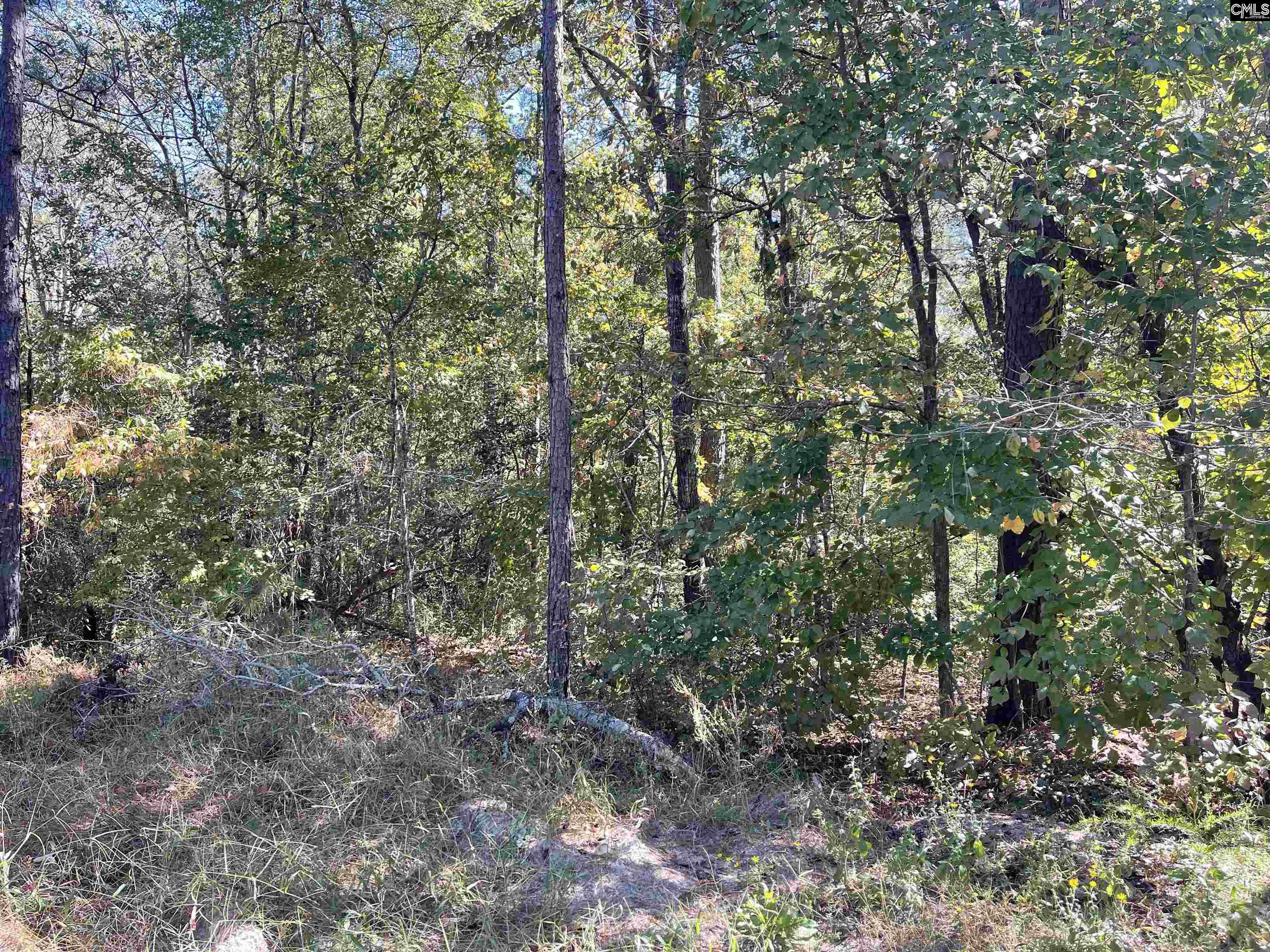 1809 Louise Court Lugoff, SC 29078