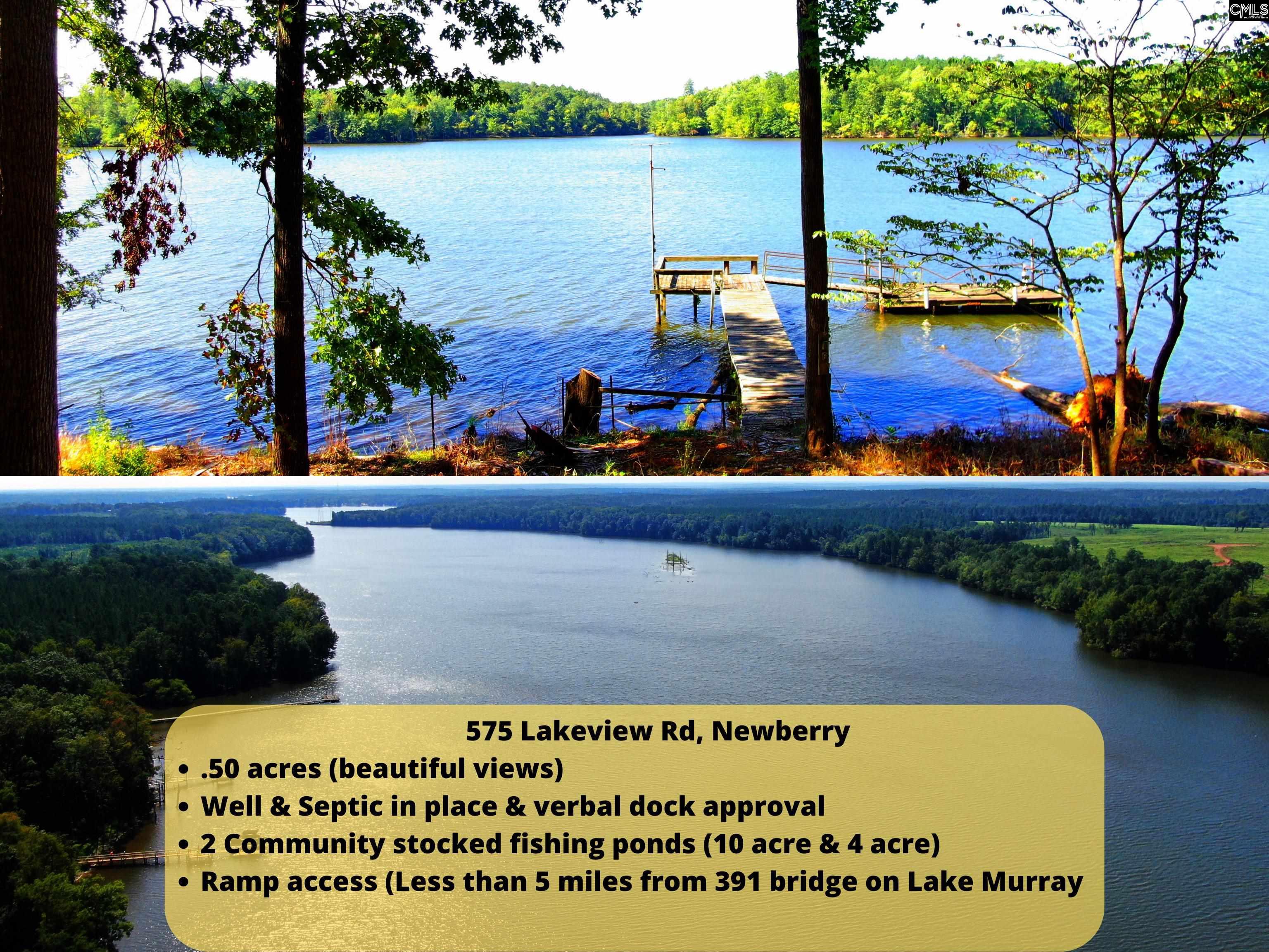 Lakeview Road Newberry, SC 29108