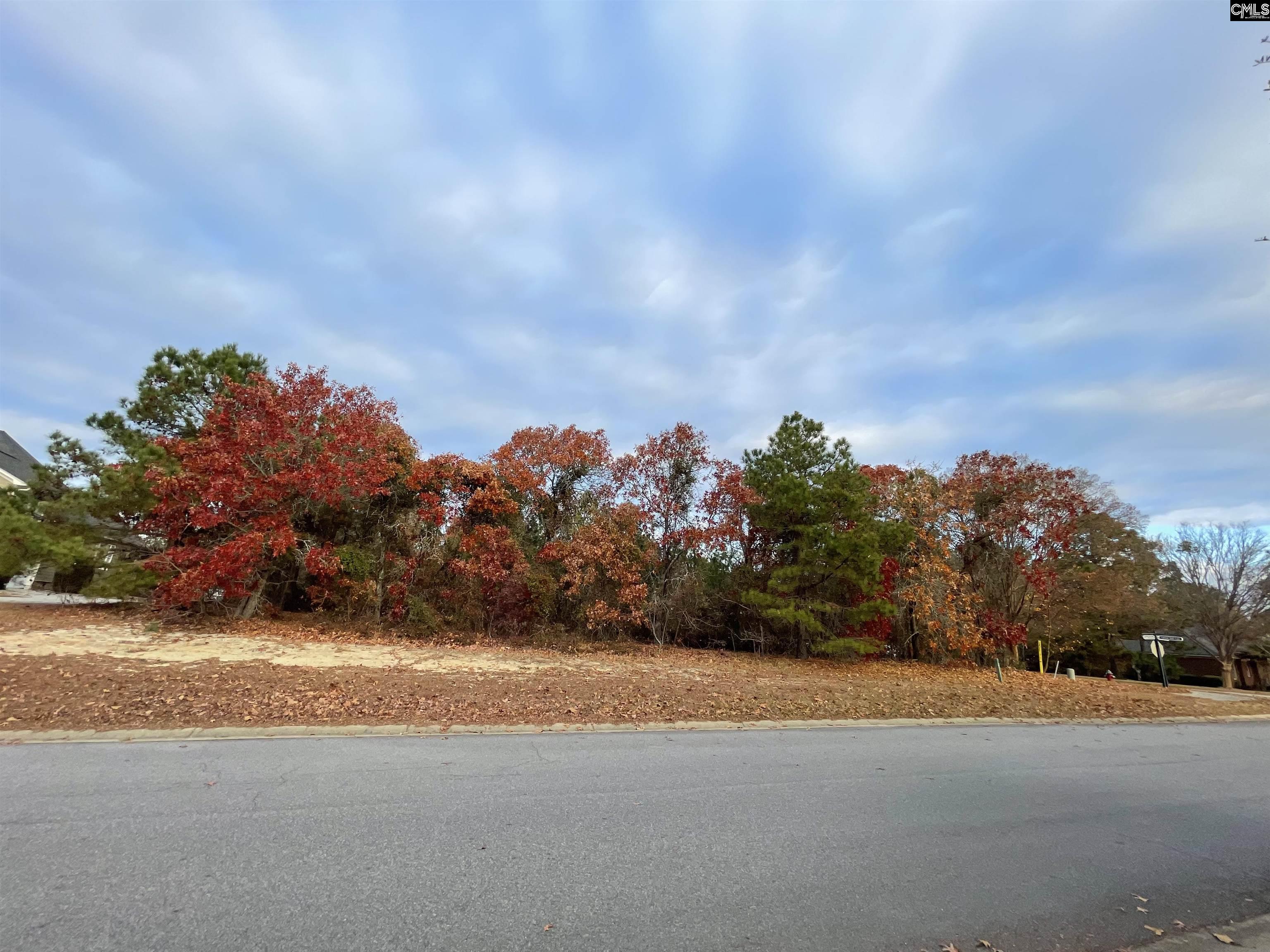 Elgin SC Real Estate 100 Upland Trail Elgin SC 29045 MLS 552440