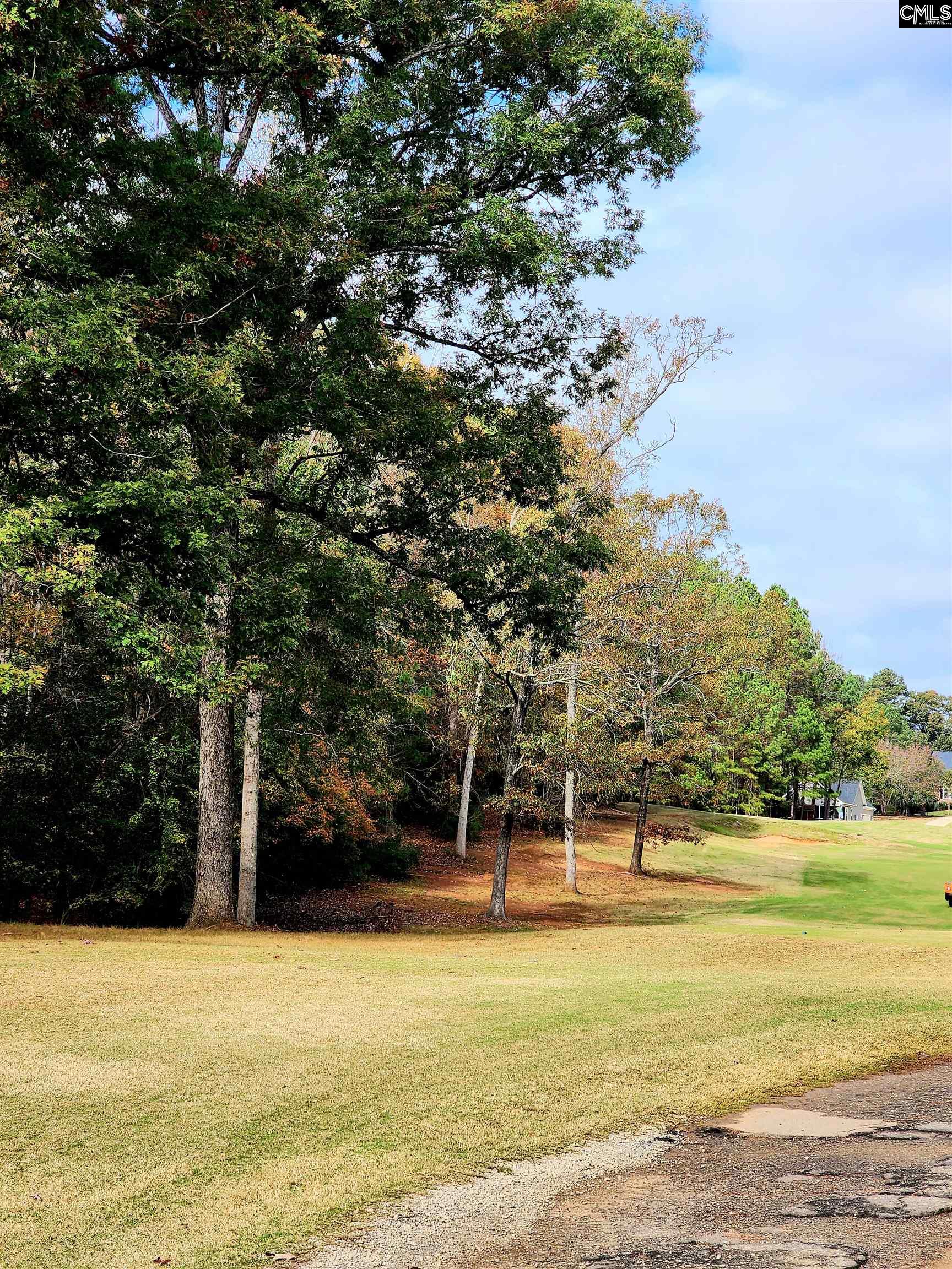 113 Three Oak Chapin, SC 29036
