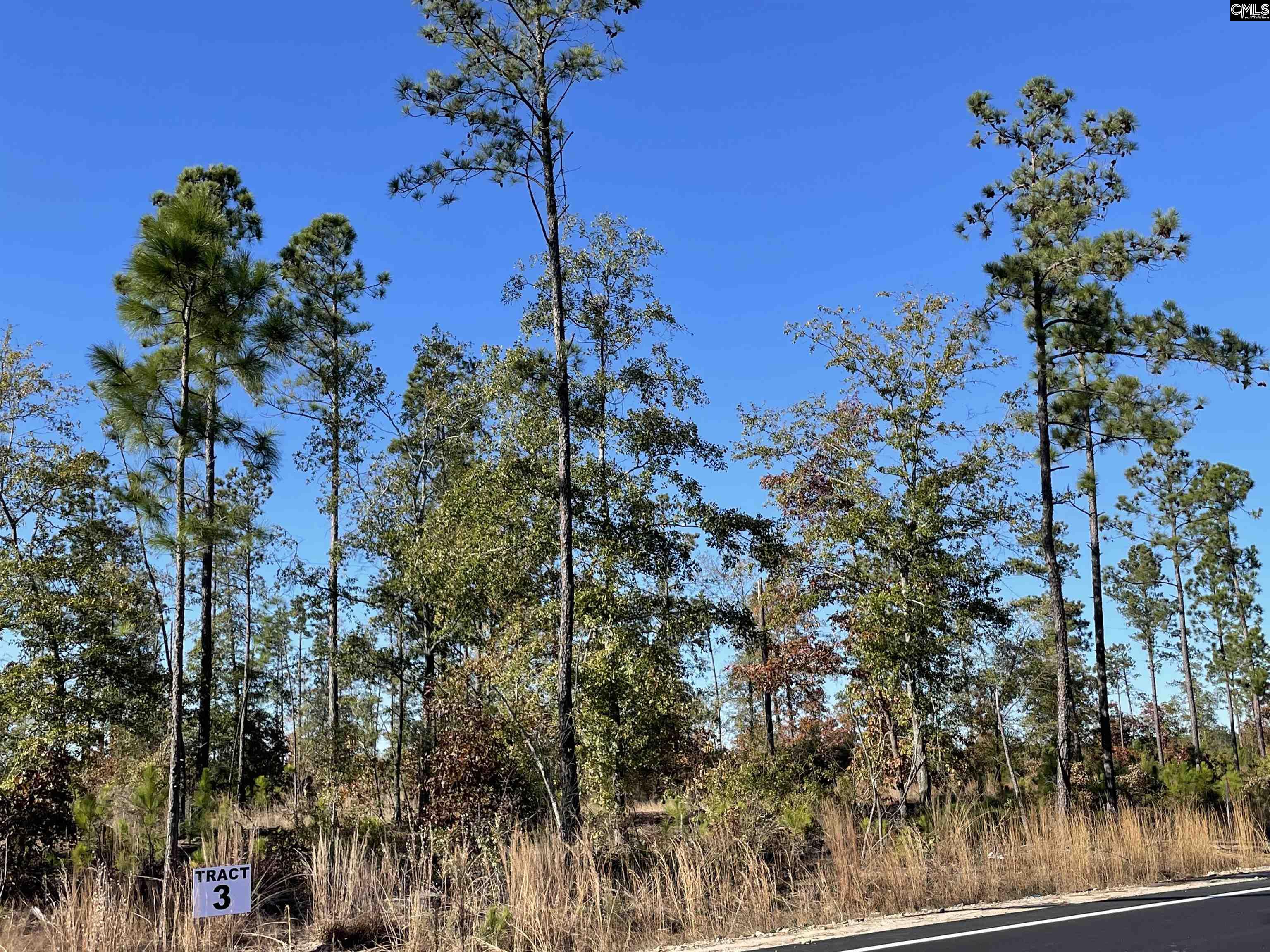 253 Mt. Zion Road Unit #3 Camden, SC 29020-0000