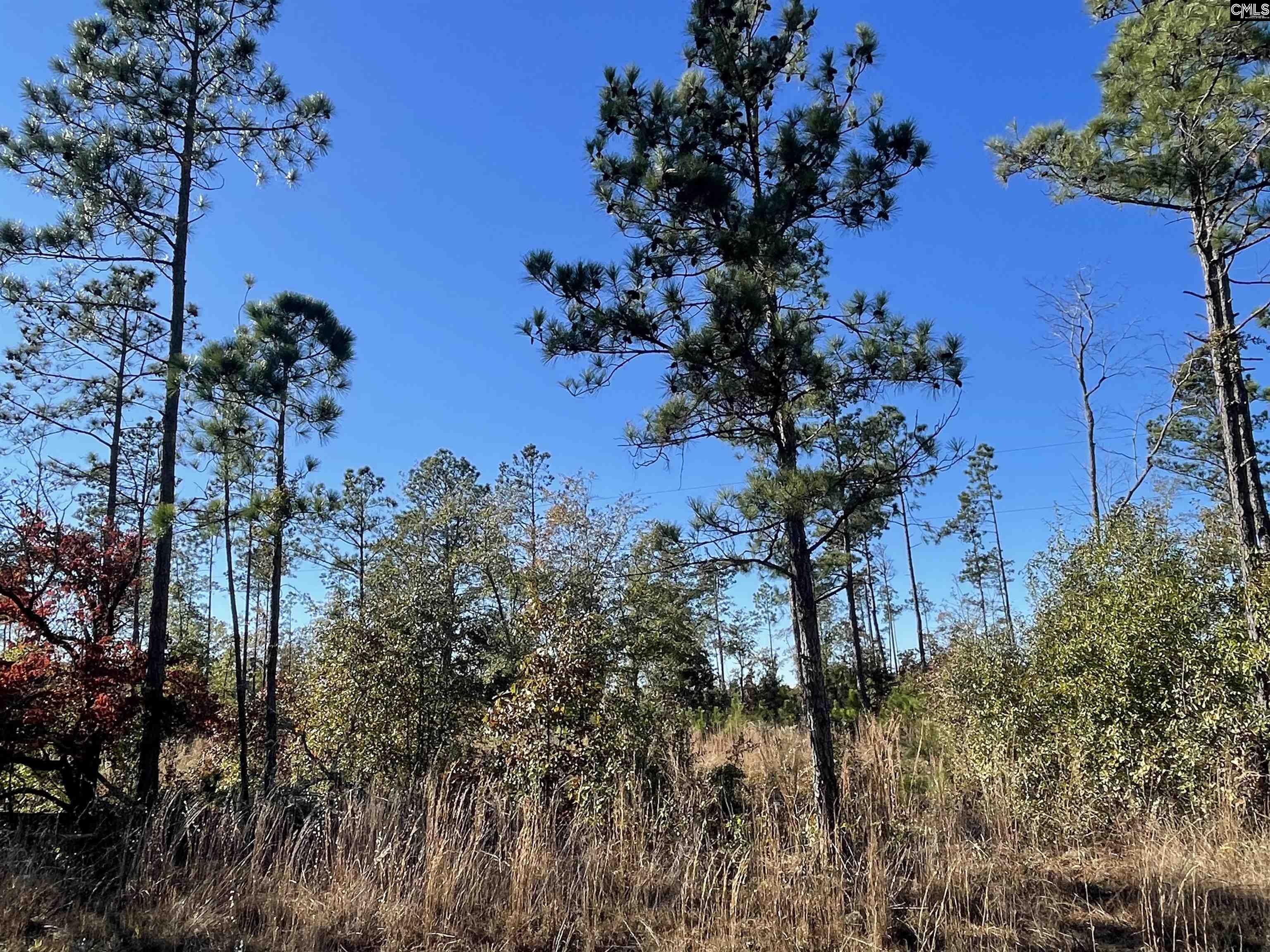 253 Mt. Zion Road Unit Lot 4 Camden, SC 29020-0000