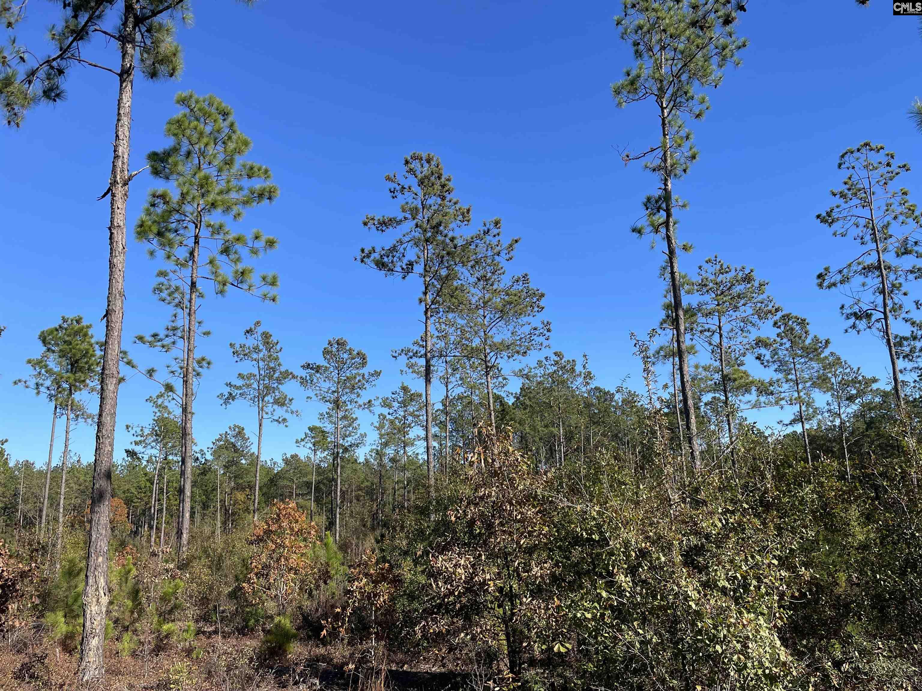 253 Mt. Zion Road Unit Lot 11 Camden, SC 29020