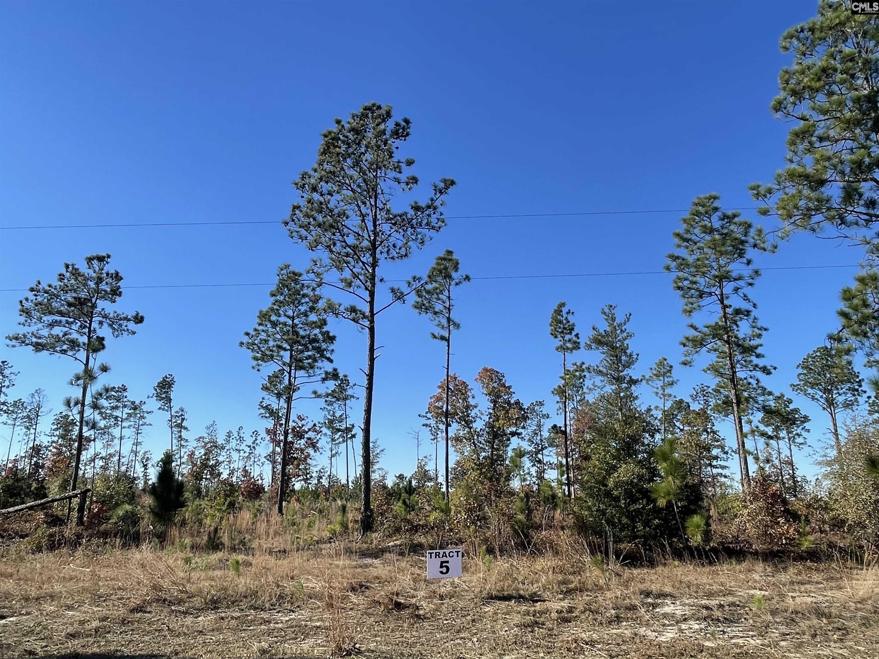 253 Mt. Zion Road Unit Lot 5 Camden, SC 29020-0000