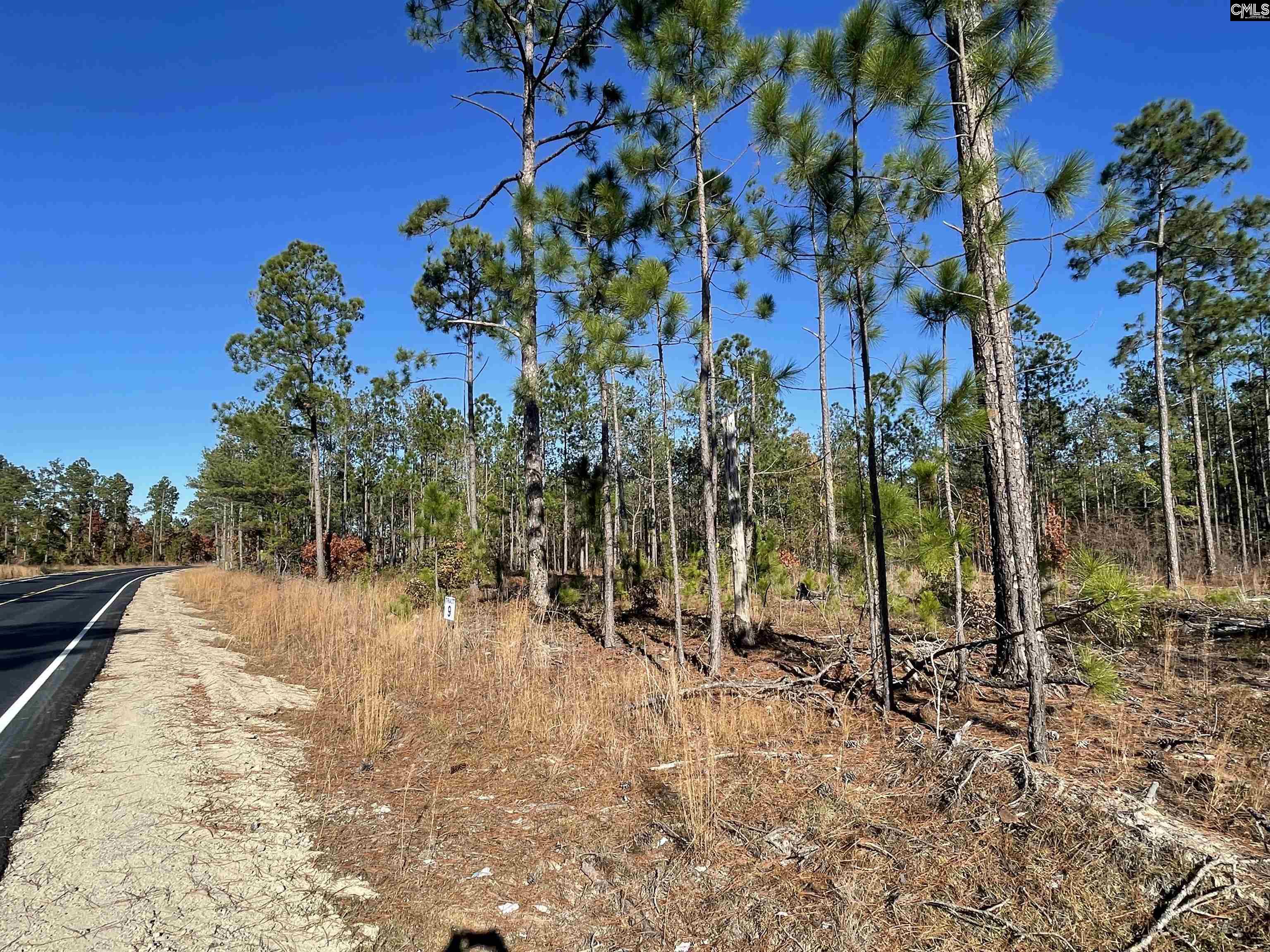 253 Mt. Zion Road Unit Lot 9 Camden, SC 29020