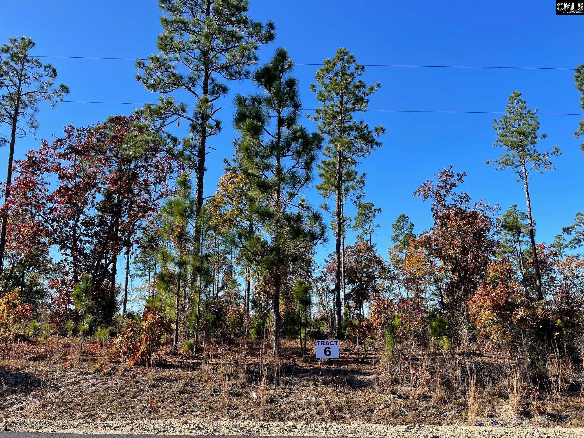 253 Mt. Zion Road Unit Lot 6 Camden, SC 29020-0000