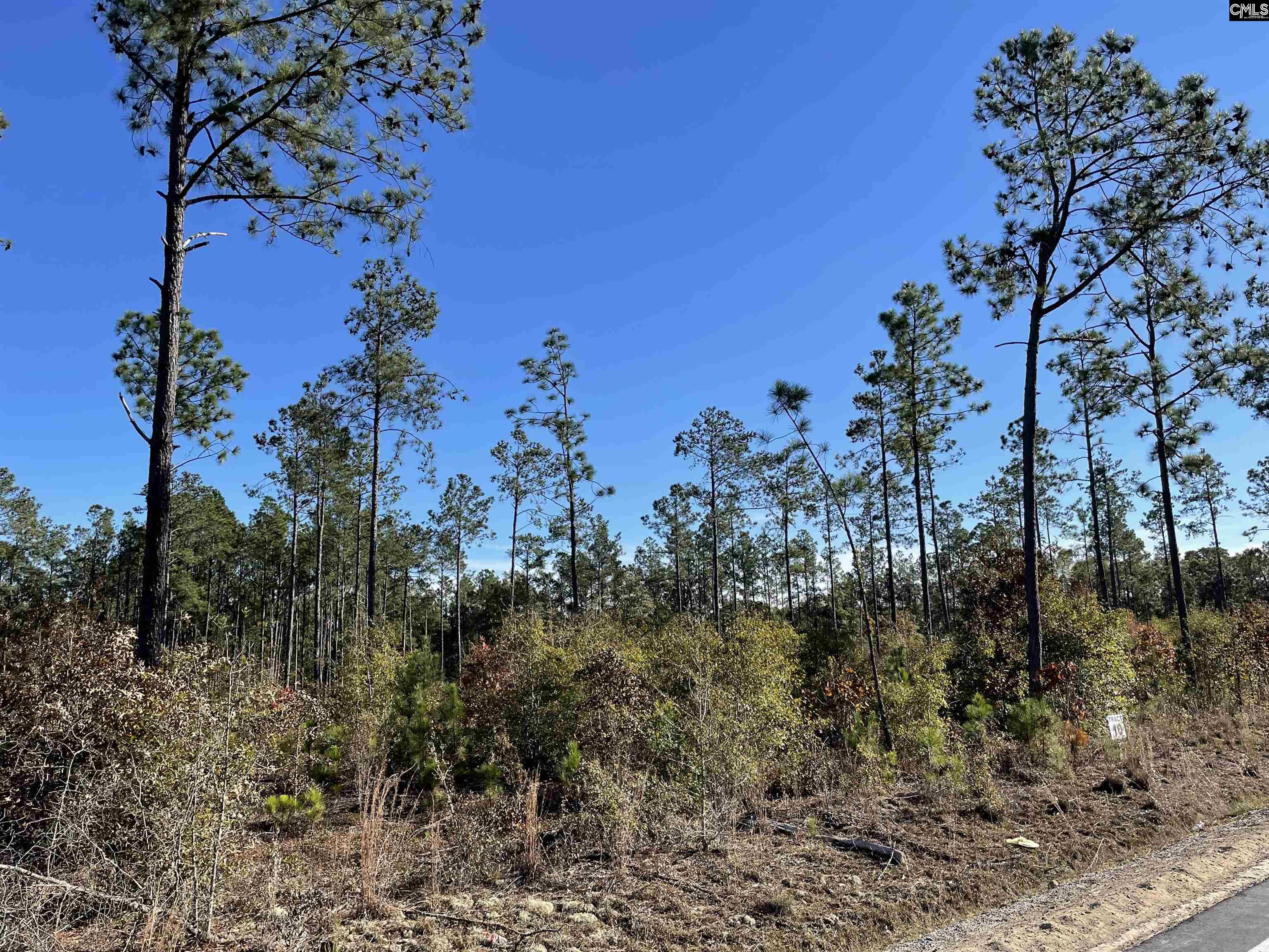 253 Mt Zion Road Unit Lot 10 Camden, SC 29020