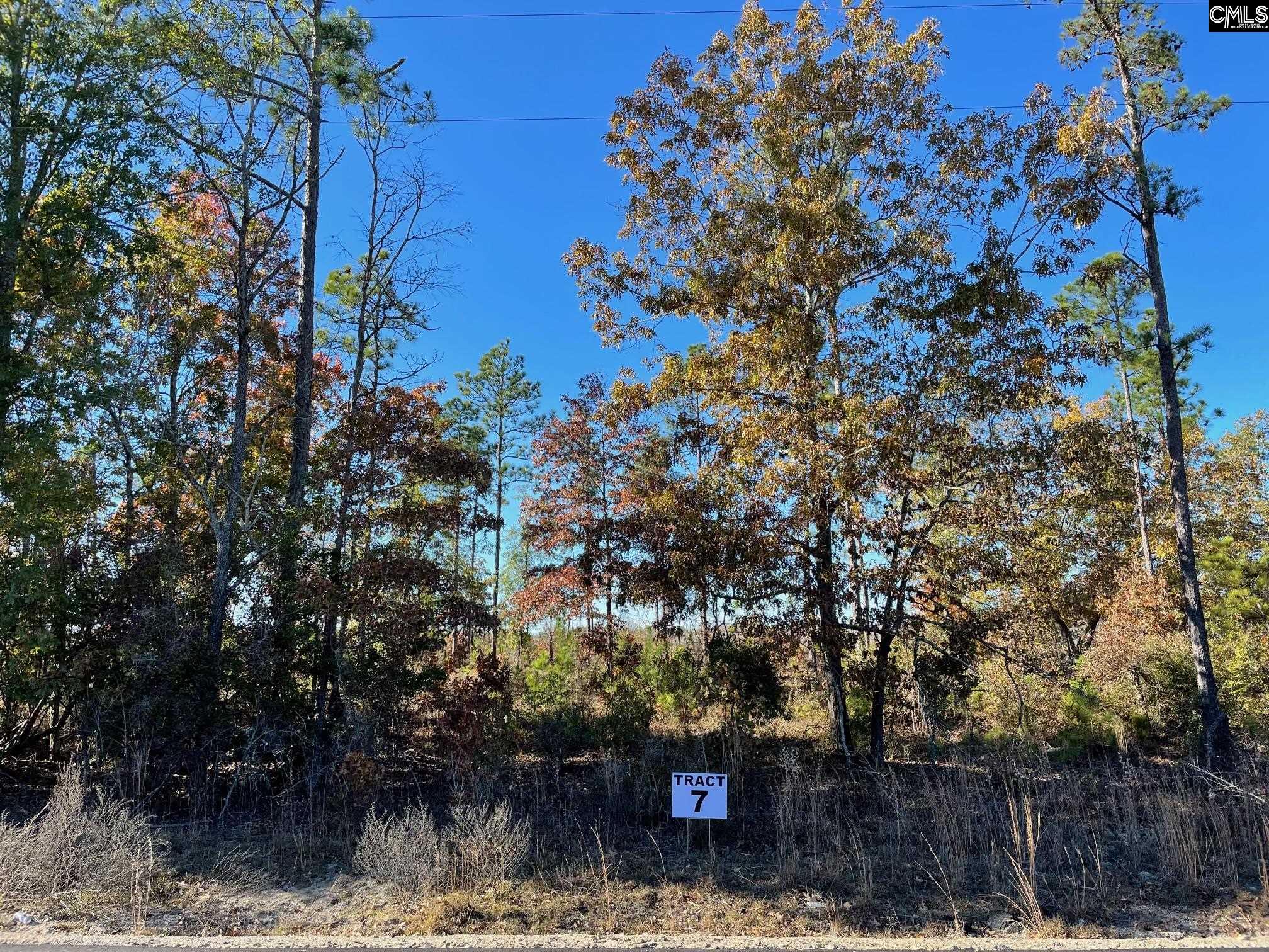 253 Mt. Zion Road Unit Lot 7 Camden, SC 29020-0000
