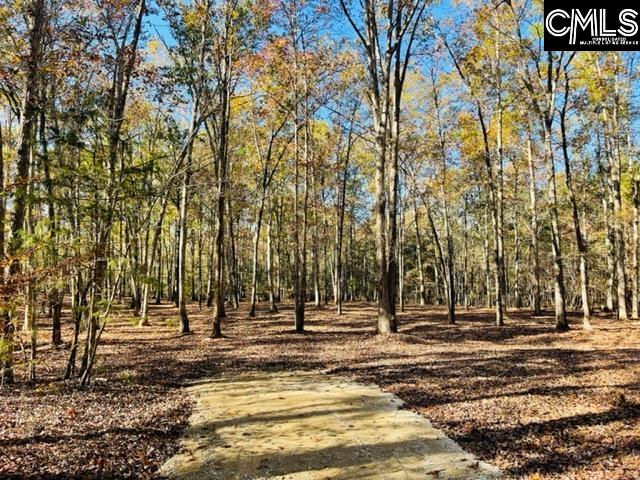 245 Lynch Lane Chapin, SC 29036