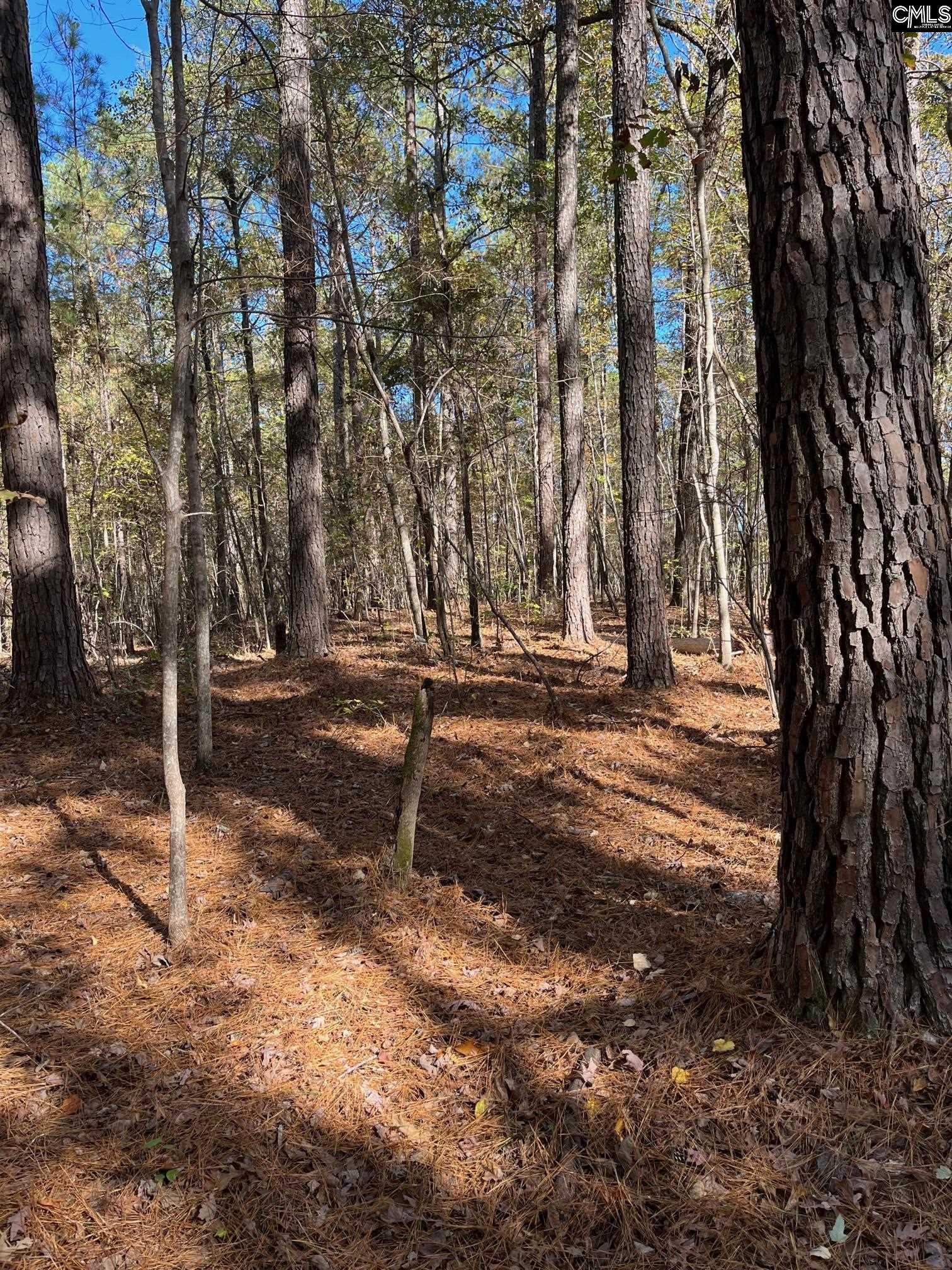 142 Monteith Road Blythewood, SC 29016