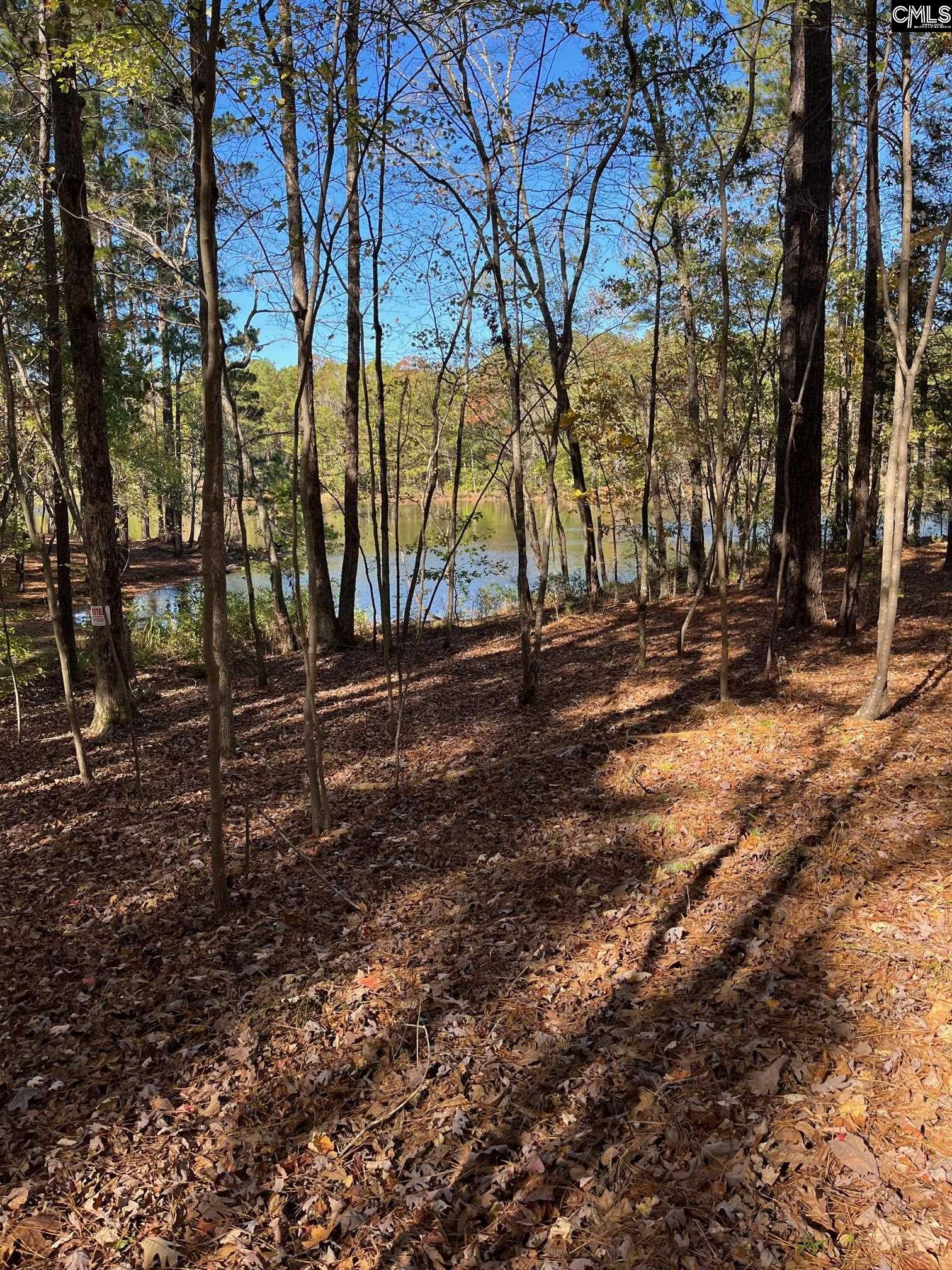 142 Monteith Road, Blythewood, South Carolina image 18