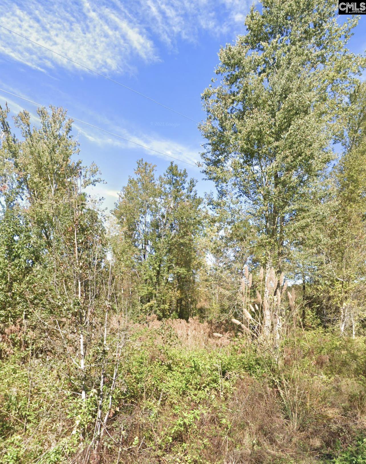 1135 Elkwood Lane Camden, SC 29020
