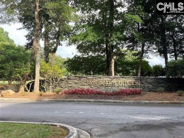 404 Lookover Pointe Drive Unit #35 Chapin, SC 29036