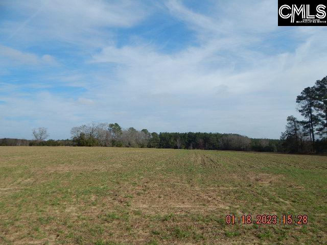 11 Hutto Road Swansea, SC 29160