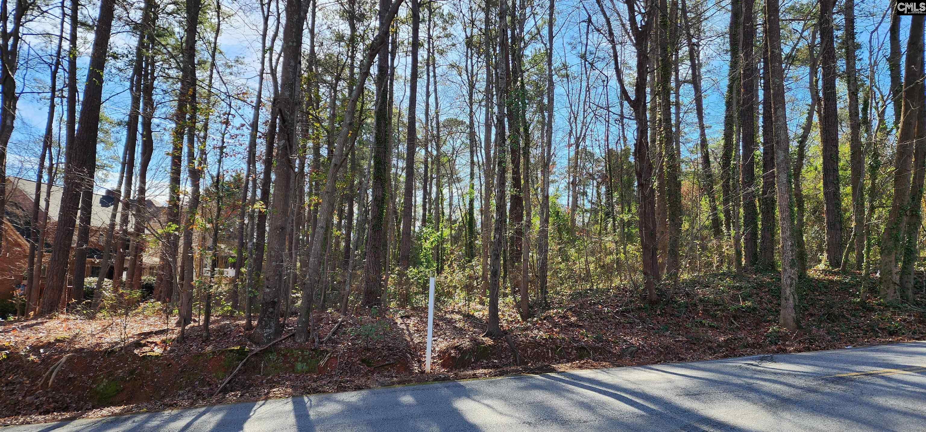 Columbia Avenue Unit Lot 2 Irmo, SC 29063