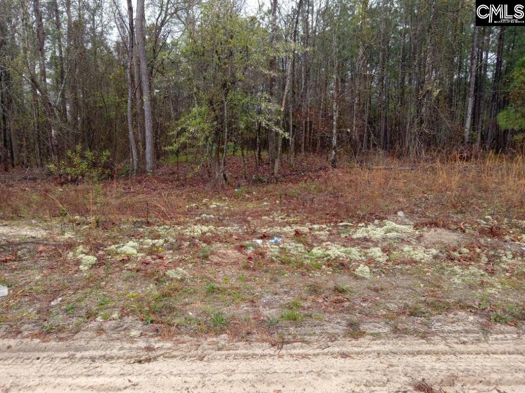 E/S E/s 601 Highway UNIT Tract 4 Lugoff, SC 29078