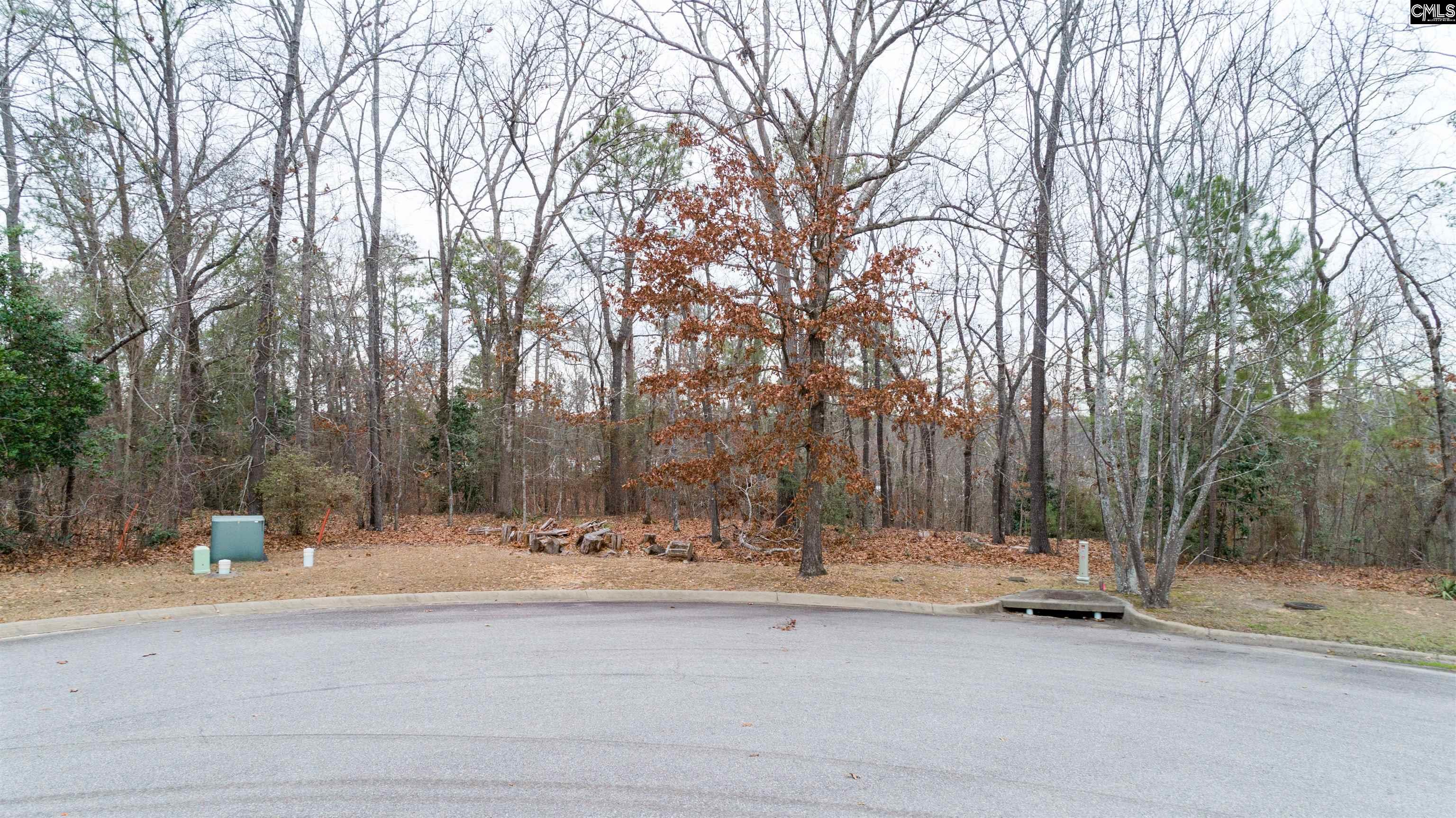 175 Promontory Road Columbia, SC 29209-2059