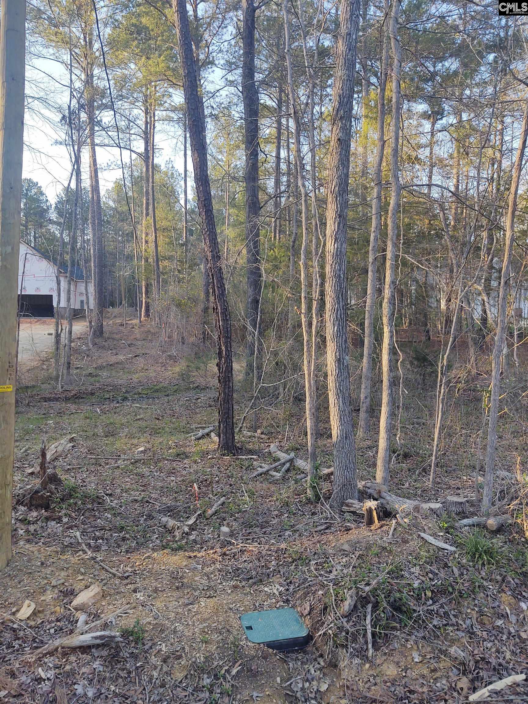 Tbd Hopewell Church Road Unit #25 Irmo, SC 29063