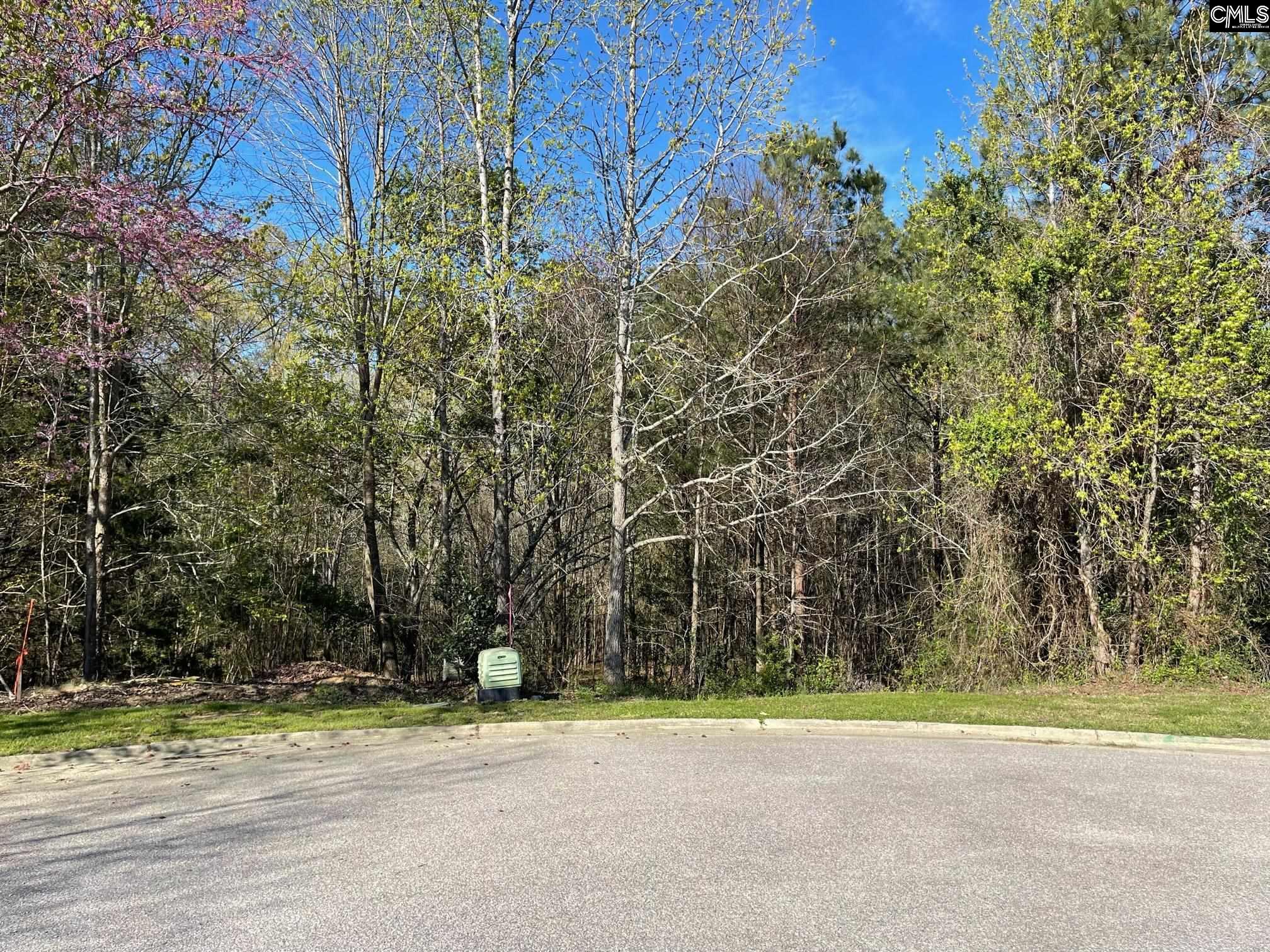 211 Emerald Oaks Way Irmo, SC 29063