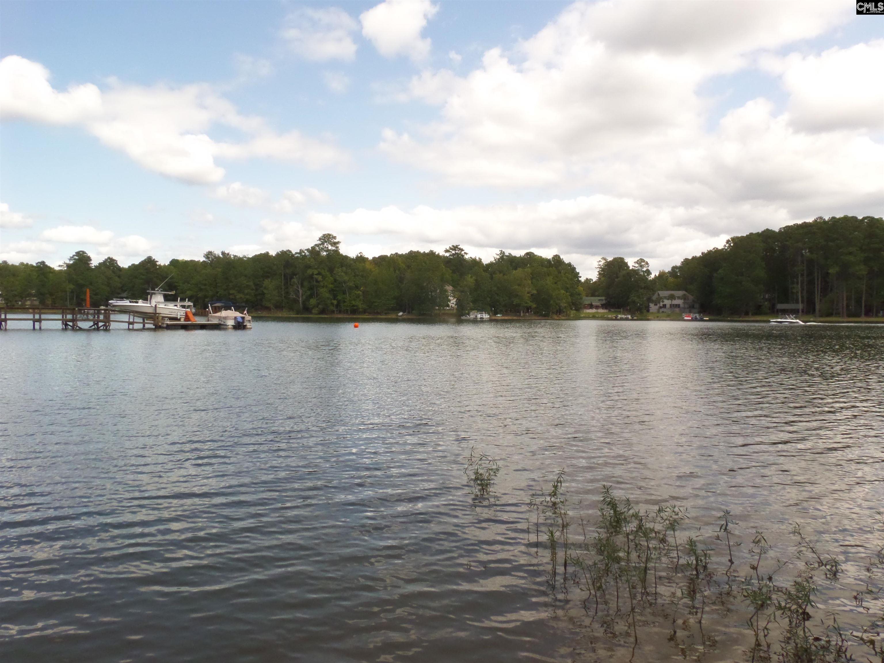 1109 Old Road Unit #5 Chapin, SC 29036