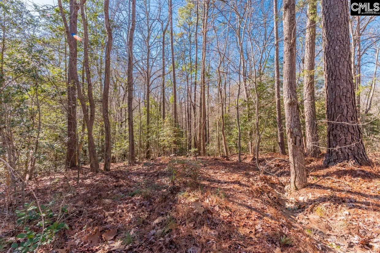 Morgan Drive Lexington, SC 29072