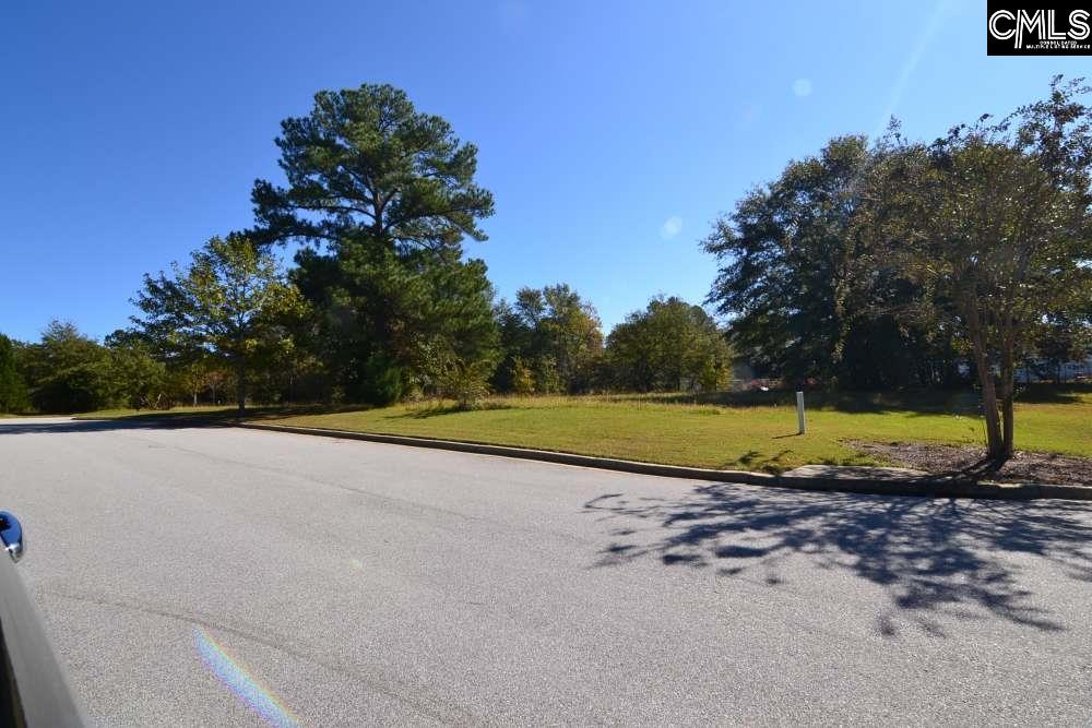 19 Blythe View Court Unit #10 Blythewood, SC 29016