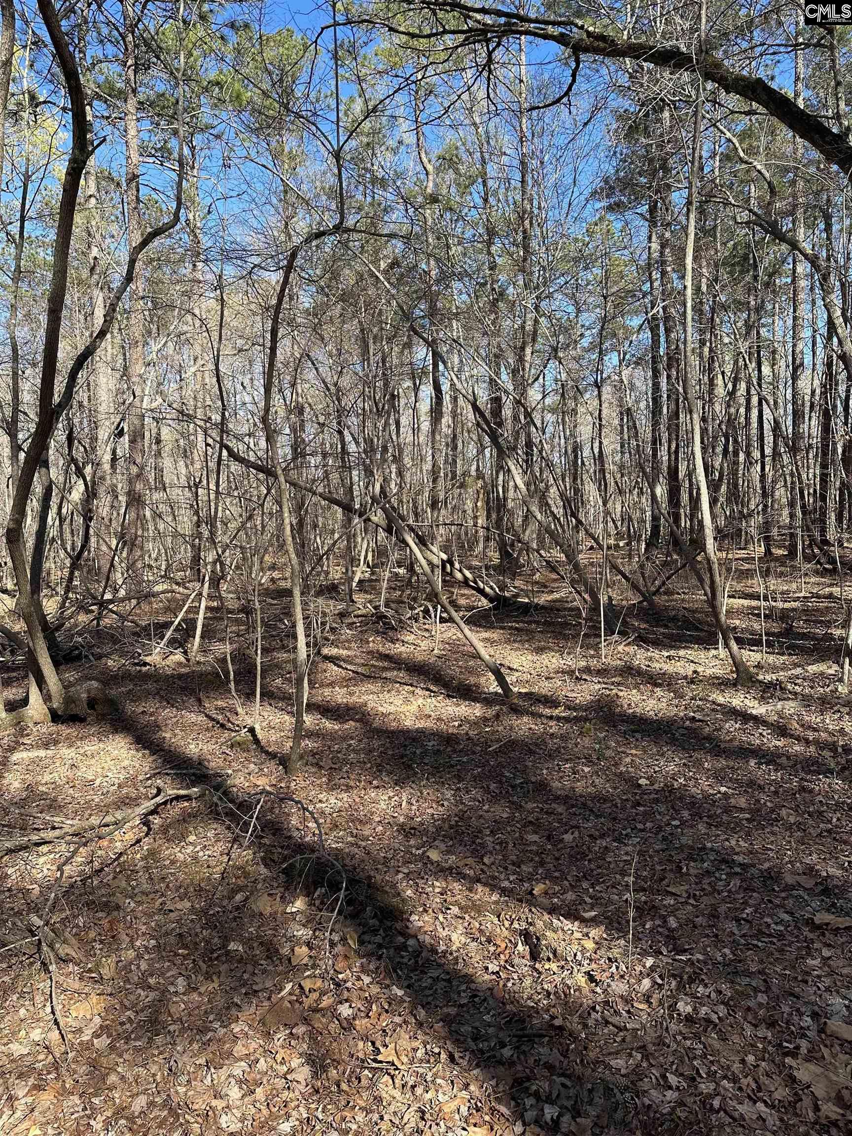 109 Bear Creek Court Blythewood, SC 29016