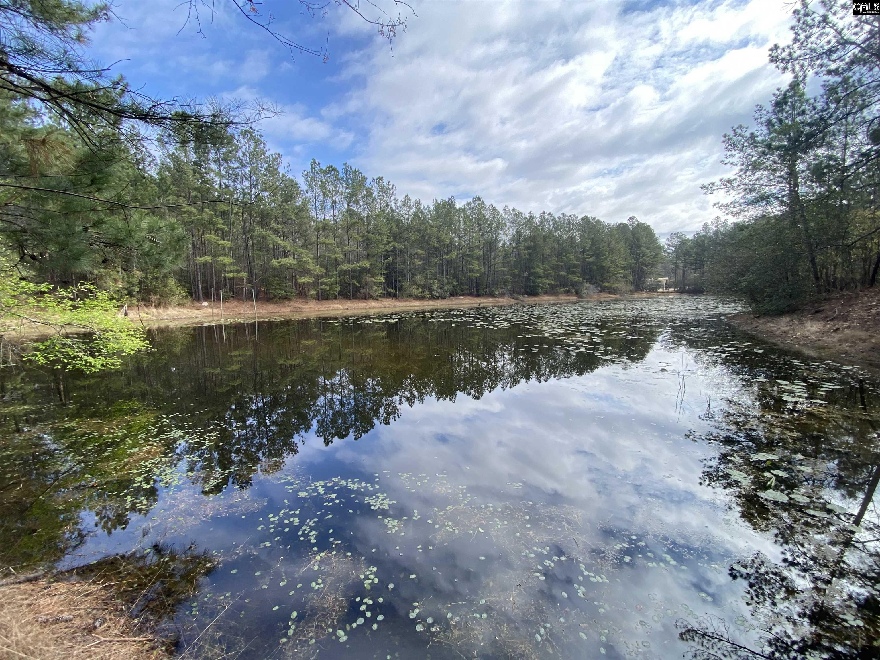 215 Beck Taylor Place Lexington, SC 29073