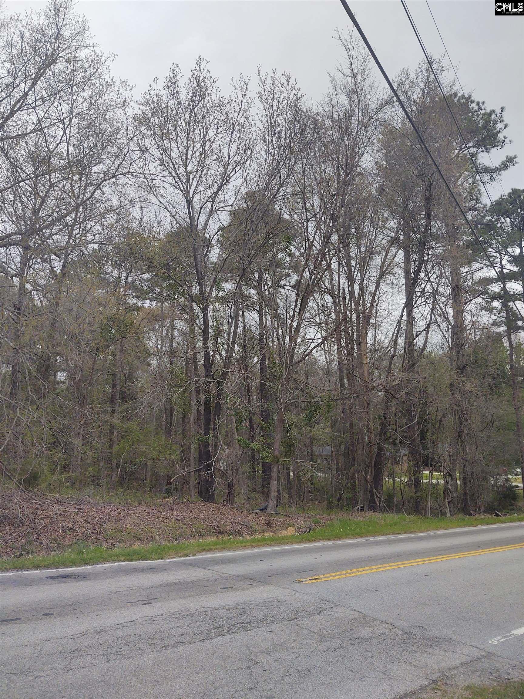 1709 Hollingshed Road, Irmo, South Carolina image 2