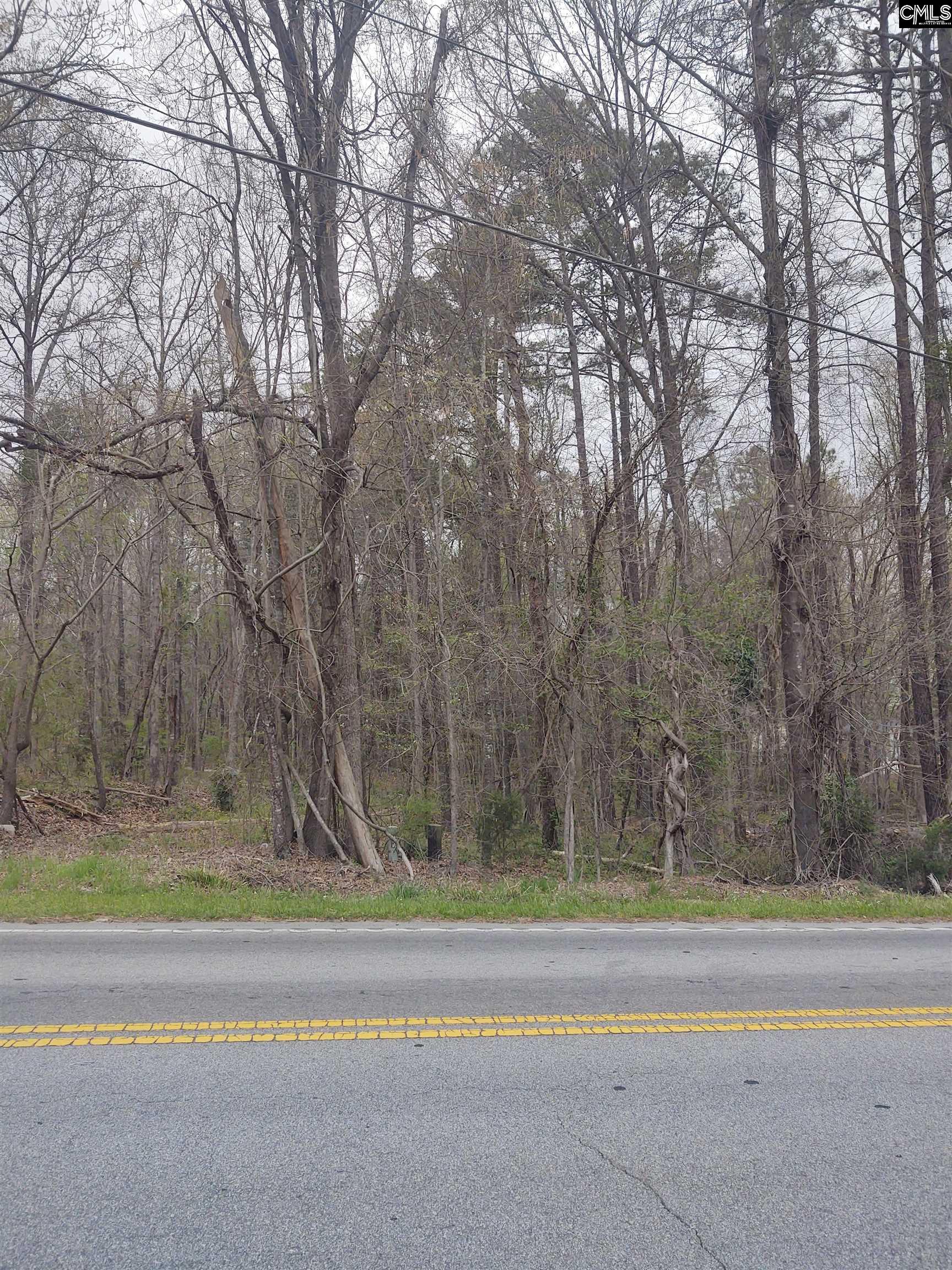 1709 Hollingshed Road, Irmo, South Carolina image 3