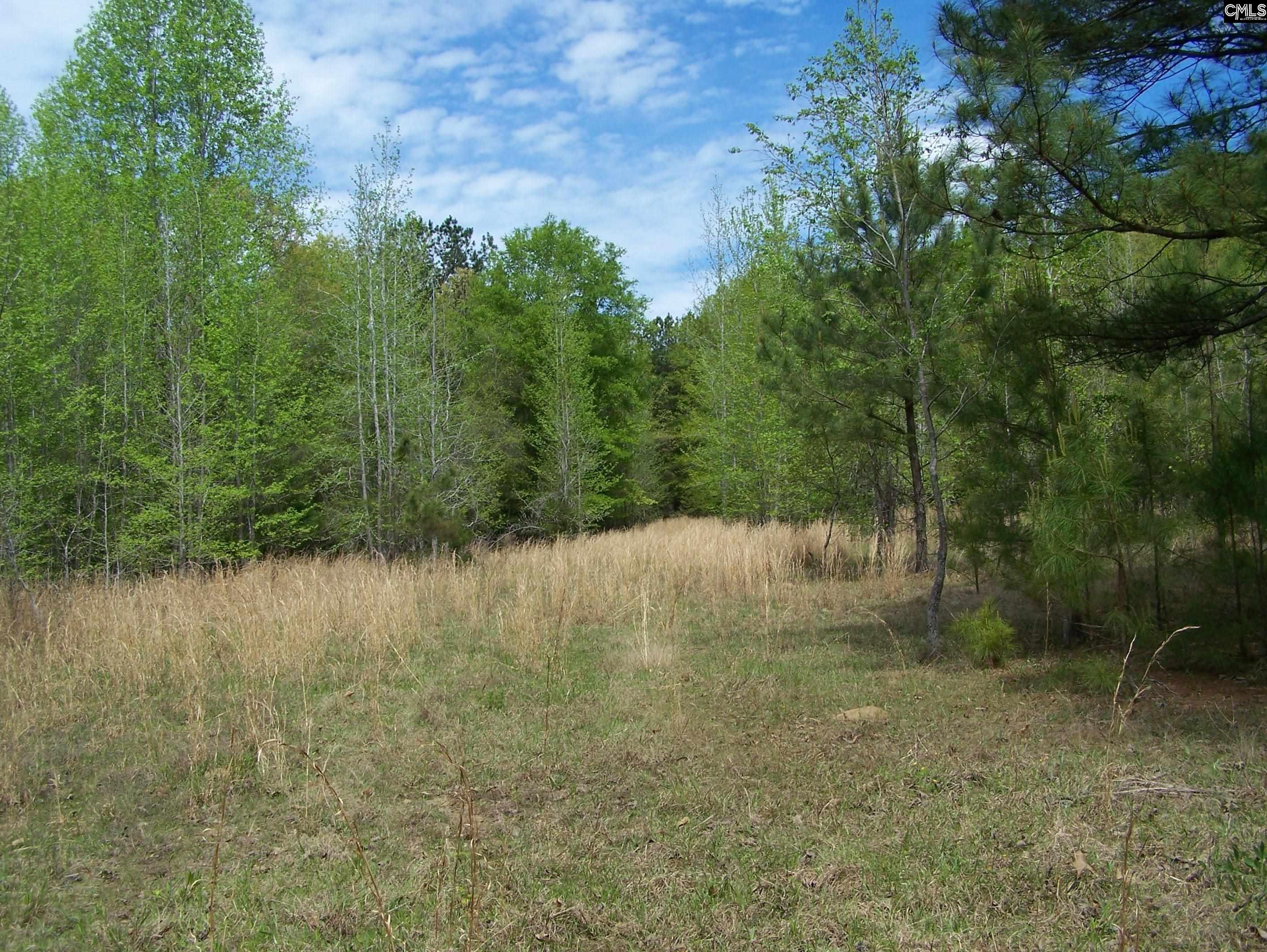 Tbd 11a Scotts Crossing Road Winnsboro, SC 29180