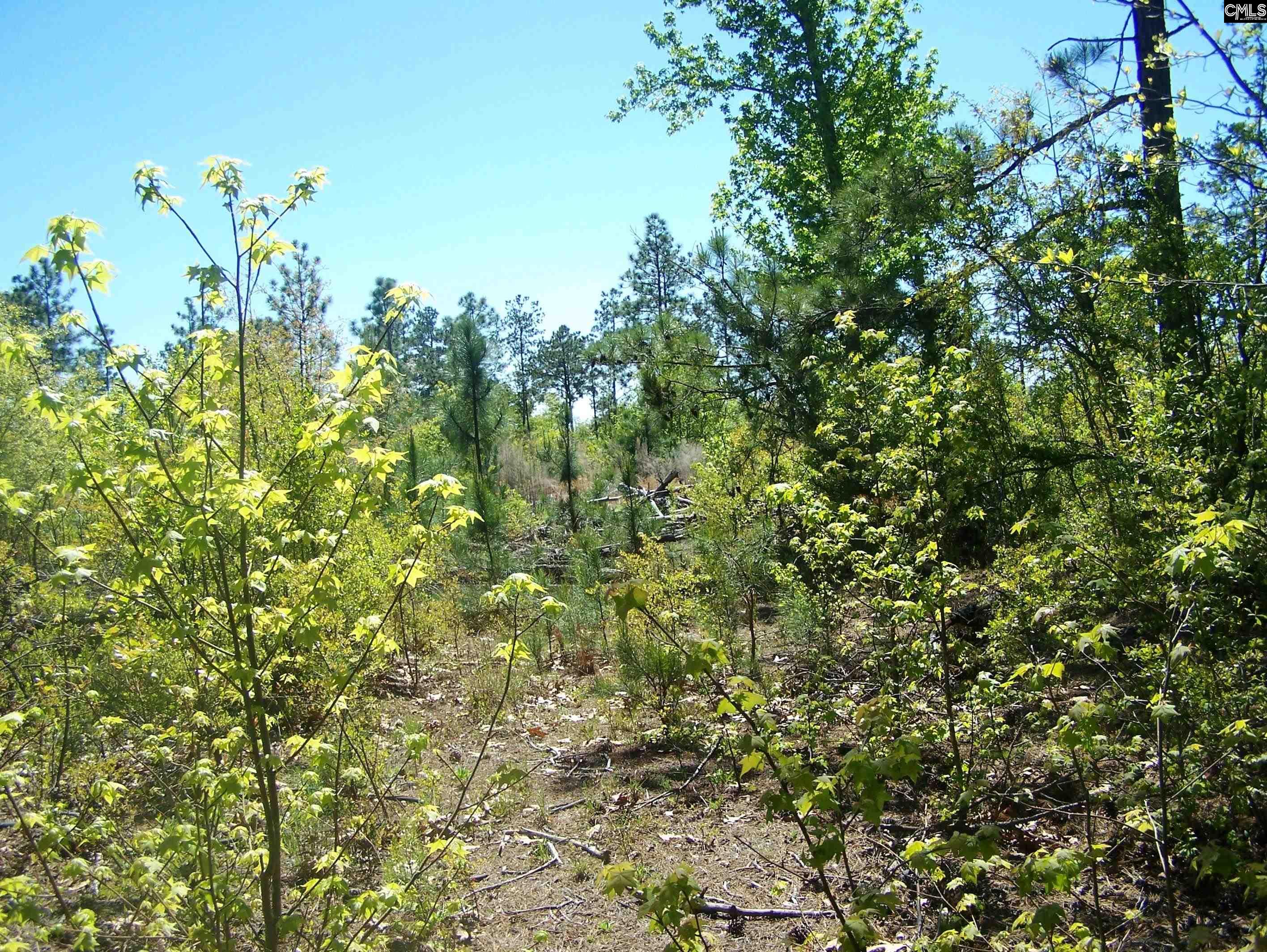Tbd Trapp Mill Branch Road Camden, SC 29020