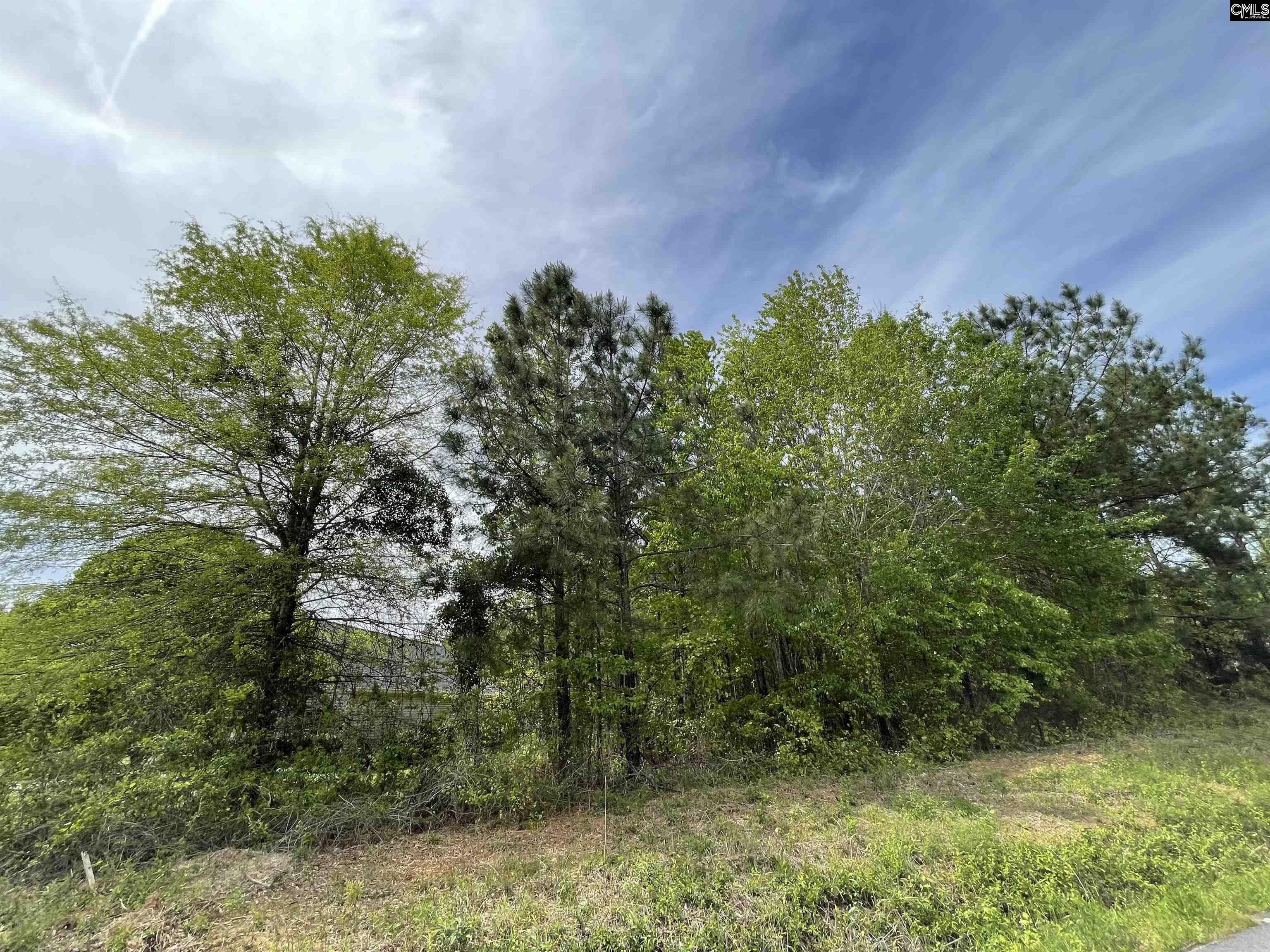 1608 Heins Road Unit #20 Blk A Blythewood, SC 29016