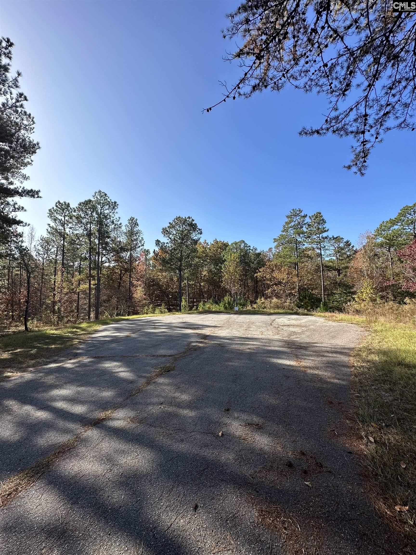 TBD or W/S Sweetwater Court UNIT Lot 11 Hopkins, SC 29061
