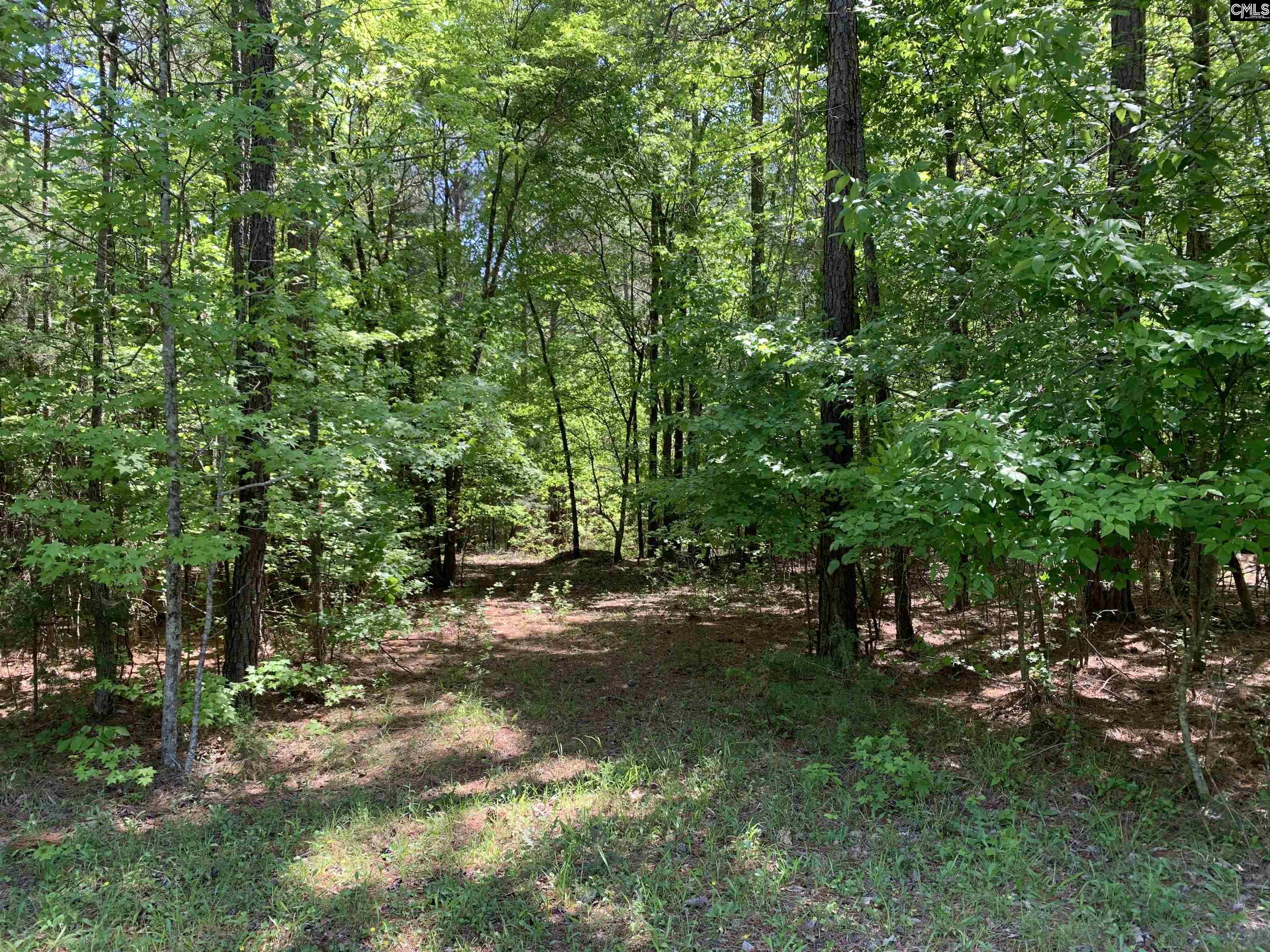 378 Bookman Mill Road Irmo, SC 29063