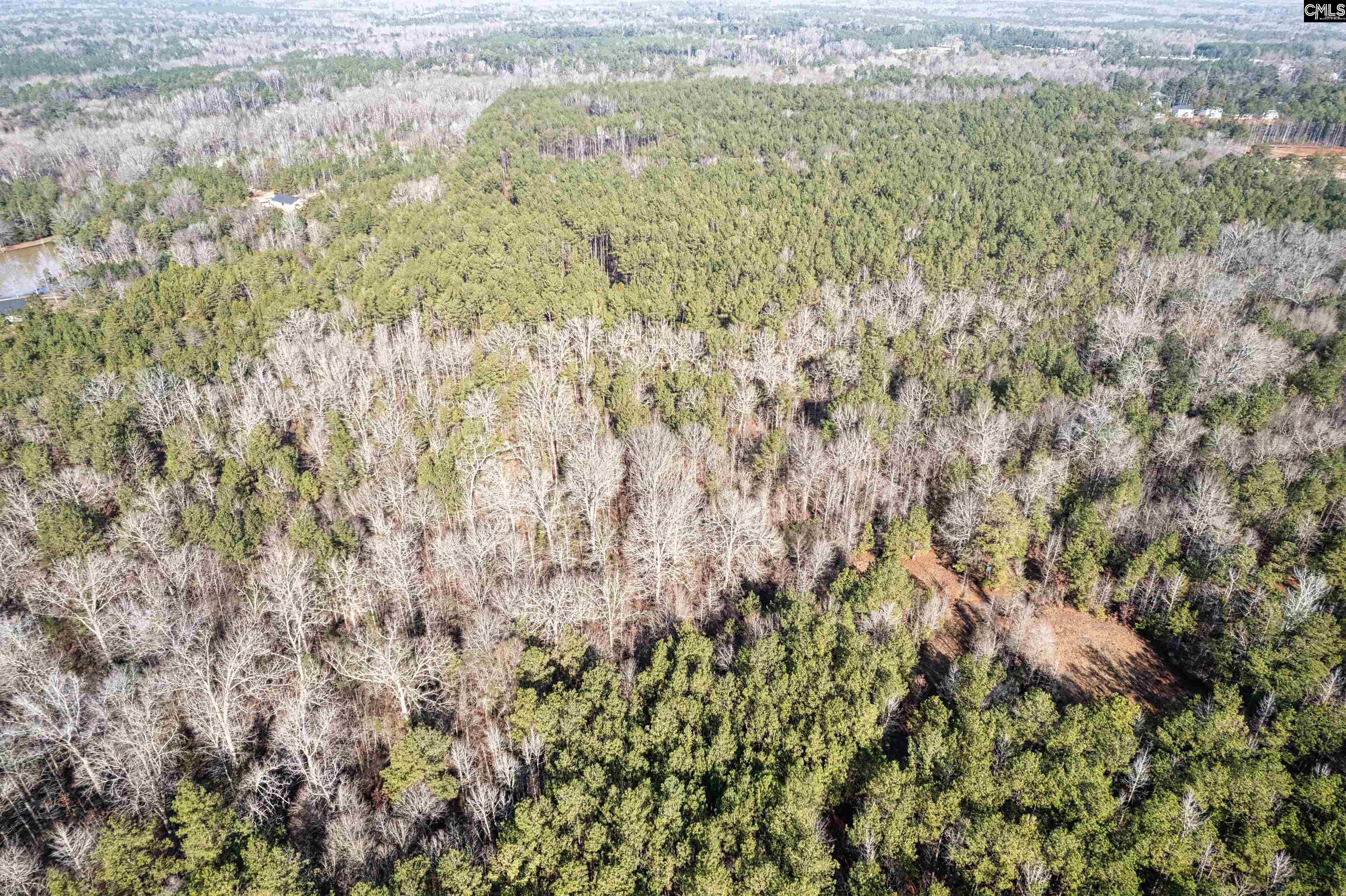 301-b Westwoods Drive Chapin, SC 29036