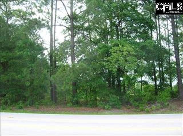 Rimer Pond Road, Blythewood, South Carolina image 1