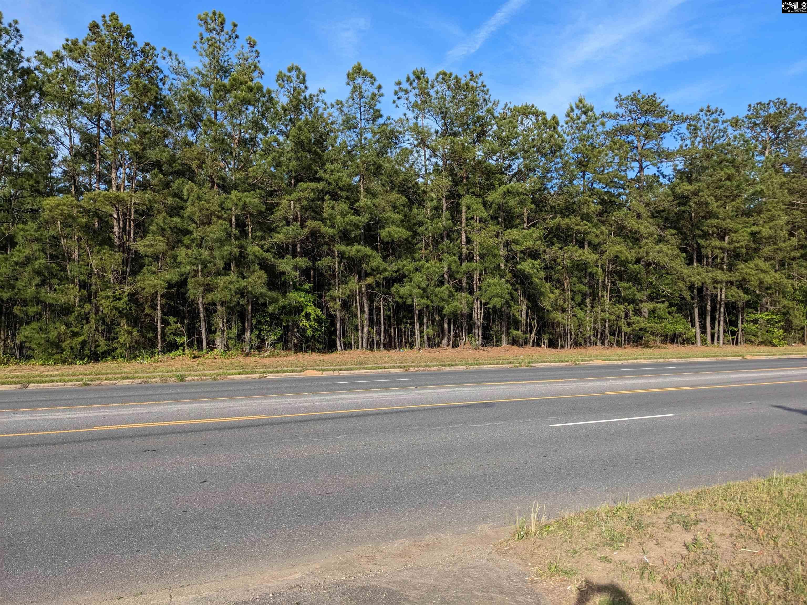 Highway 321 Bypass, Winnsboro, South Carolina image 7