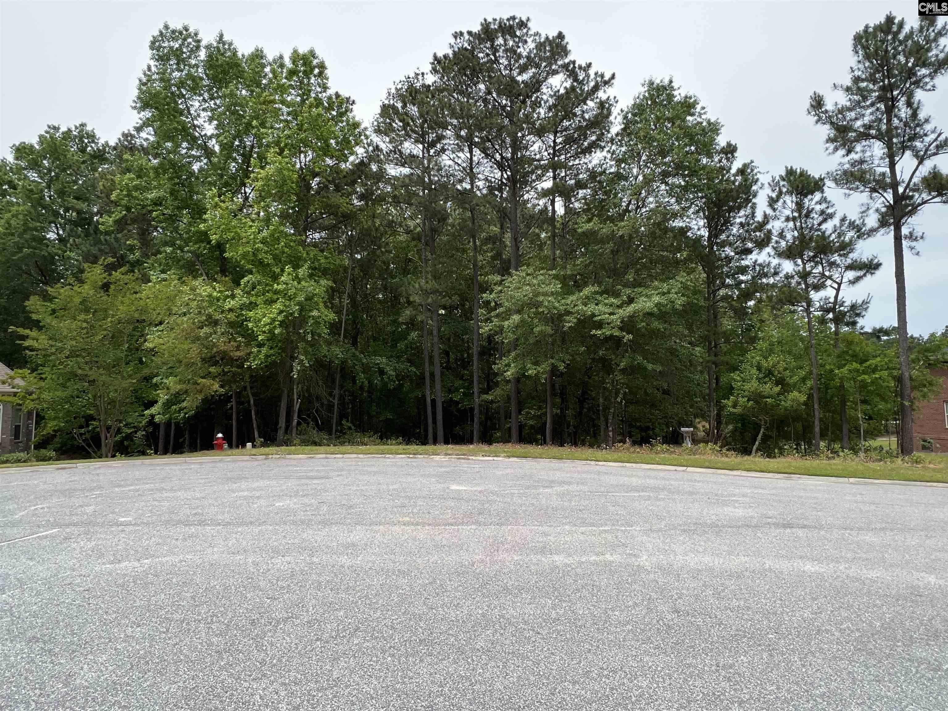 6 Sugar Maple Court Blythewood, SC 29016