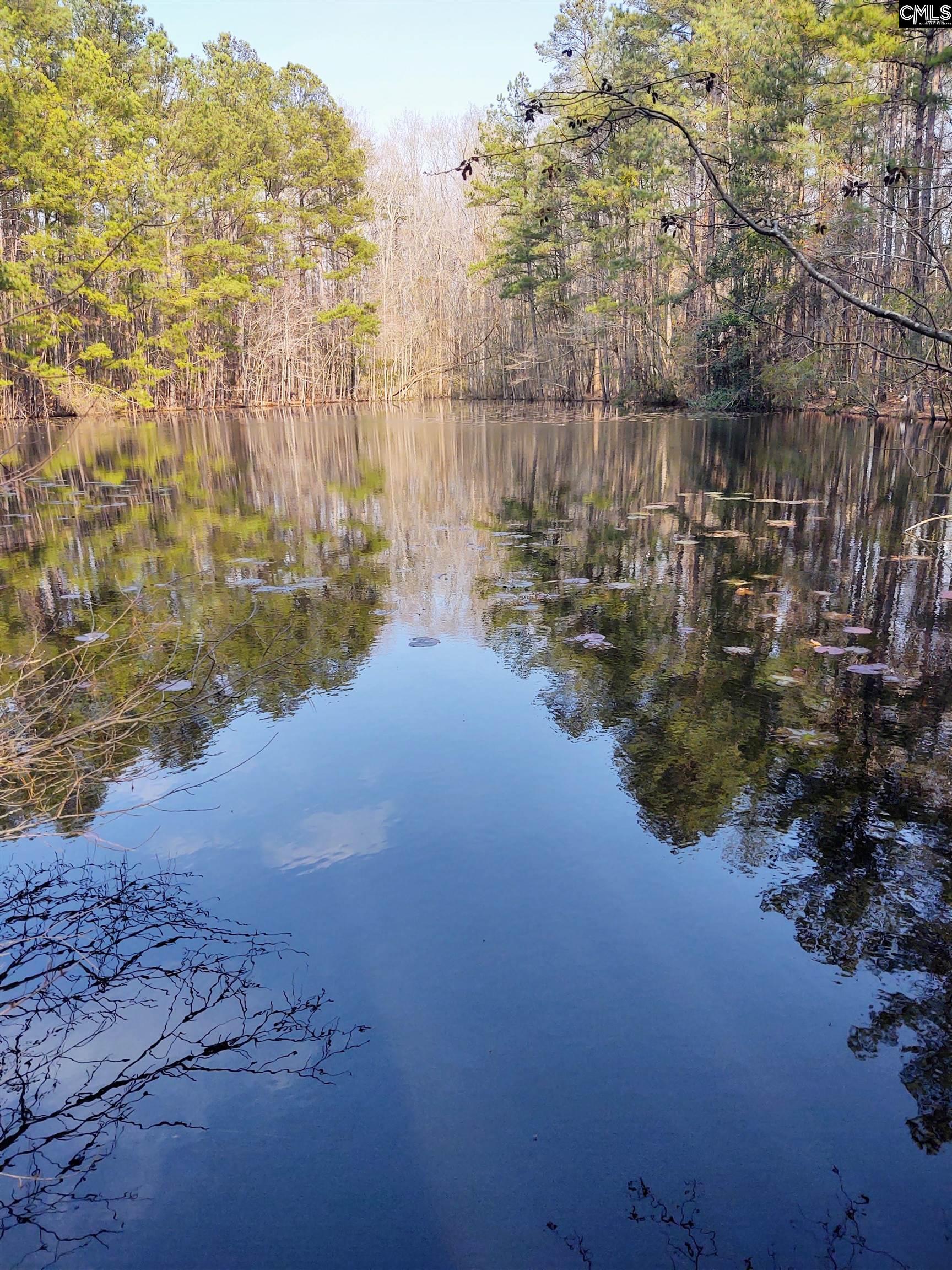 225 Family Circle Unit 1, 2, 5 Blythewood, SC 29016