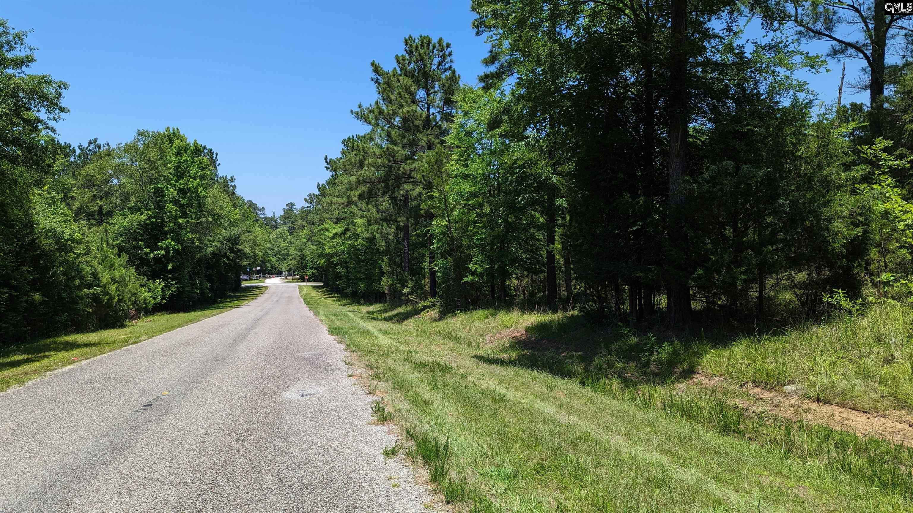 Tbd Boat Club Road Winnsboro, SC 29180-0000