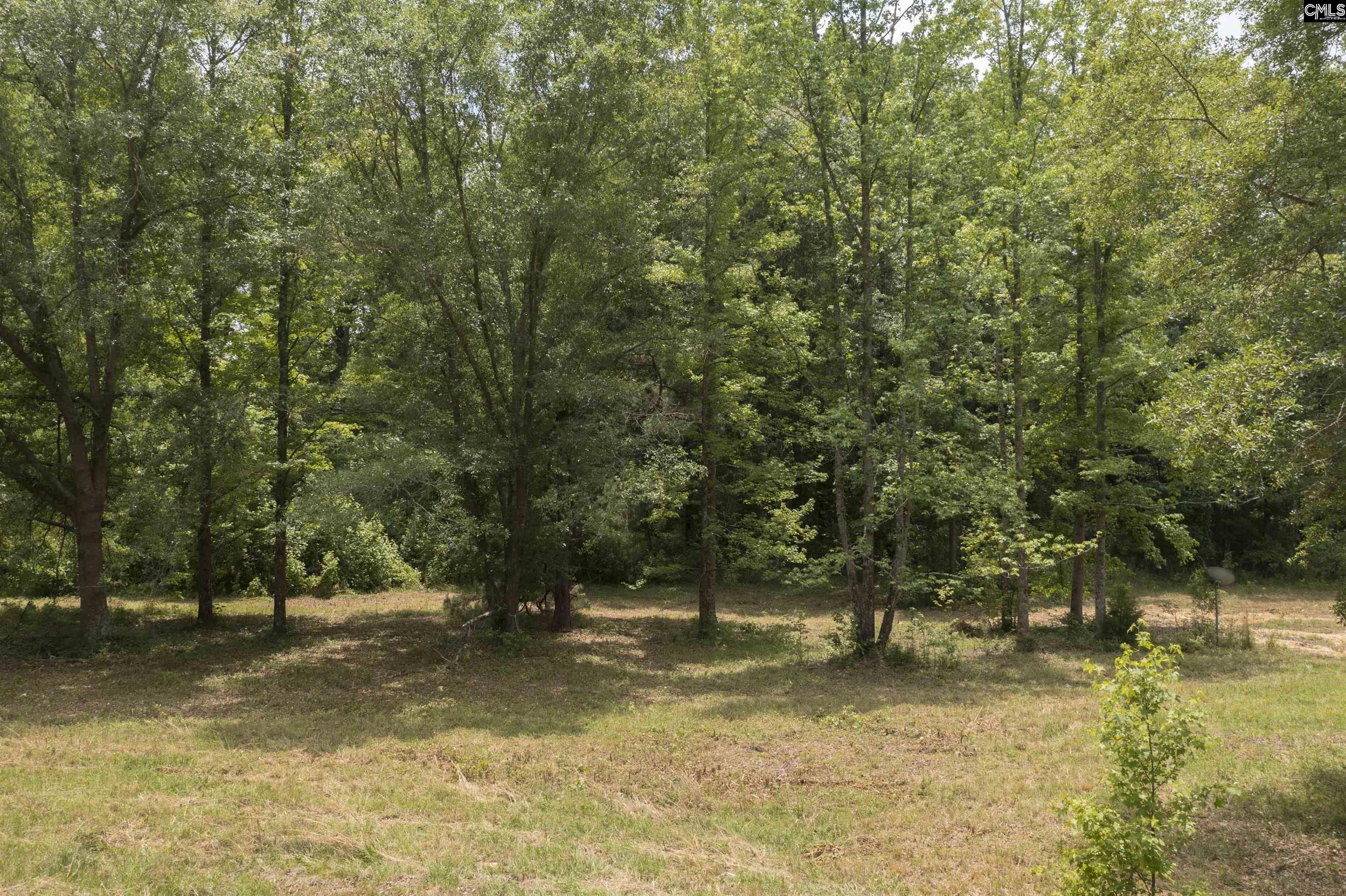 117 Glover Road, Pelion, South Carolina image 12