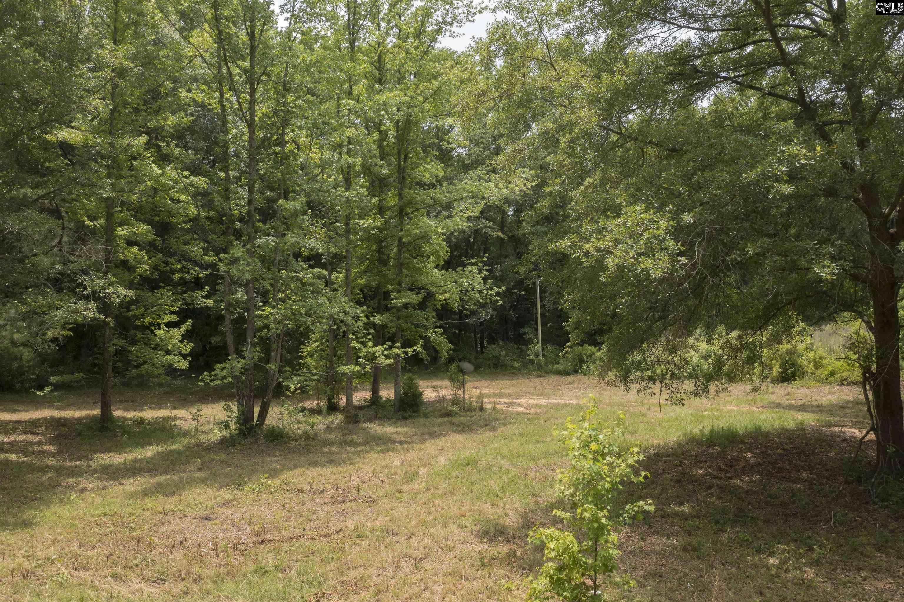 117 Glover Road, Pelion, South Carolina image 14