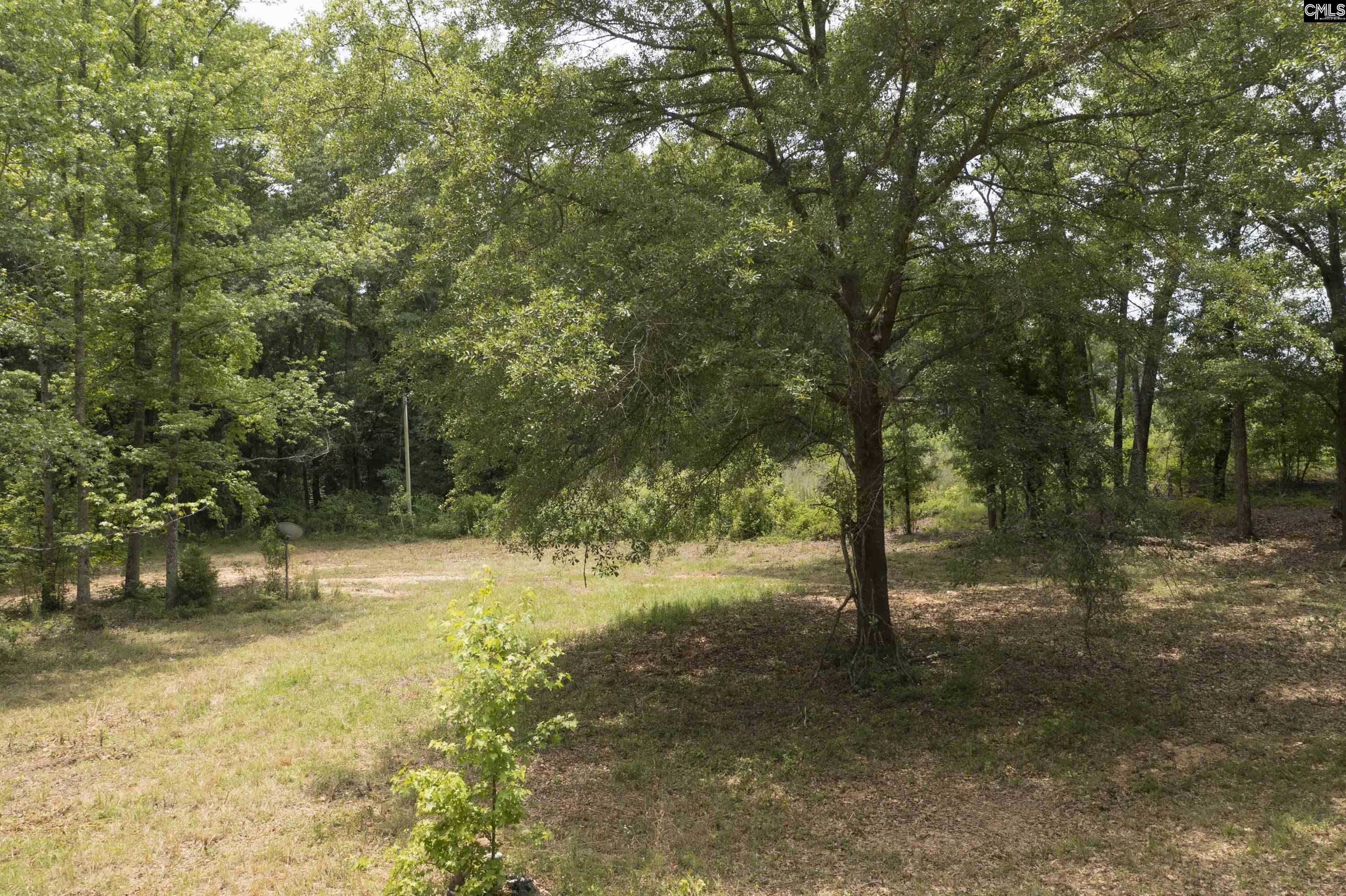 117 Glover Road, Pelion, South Carolina image 15