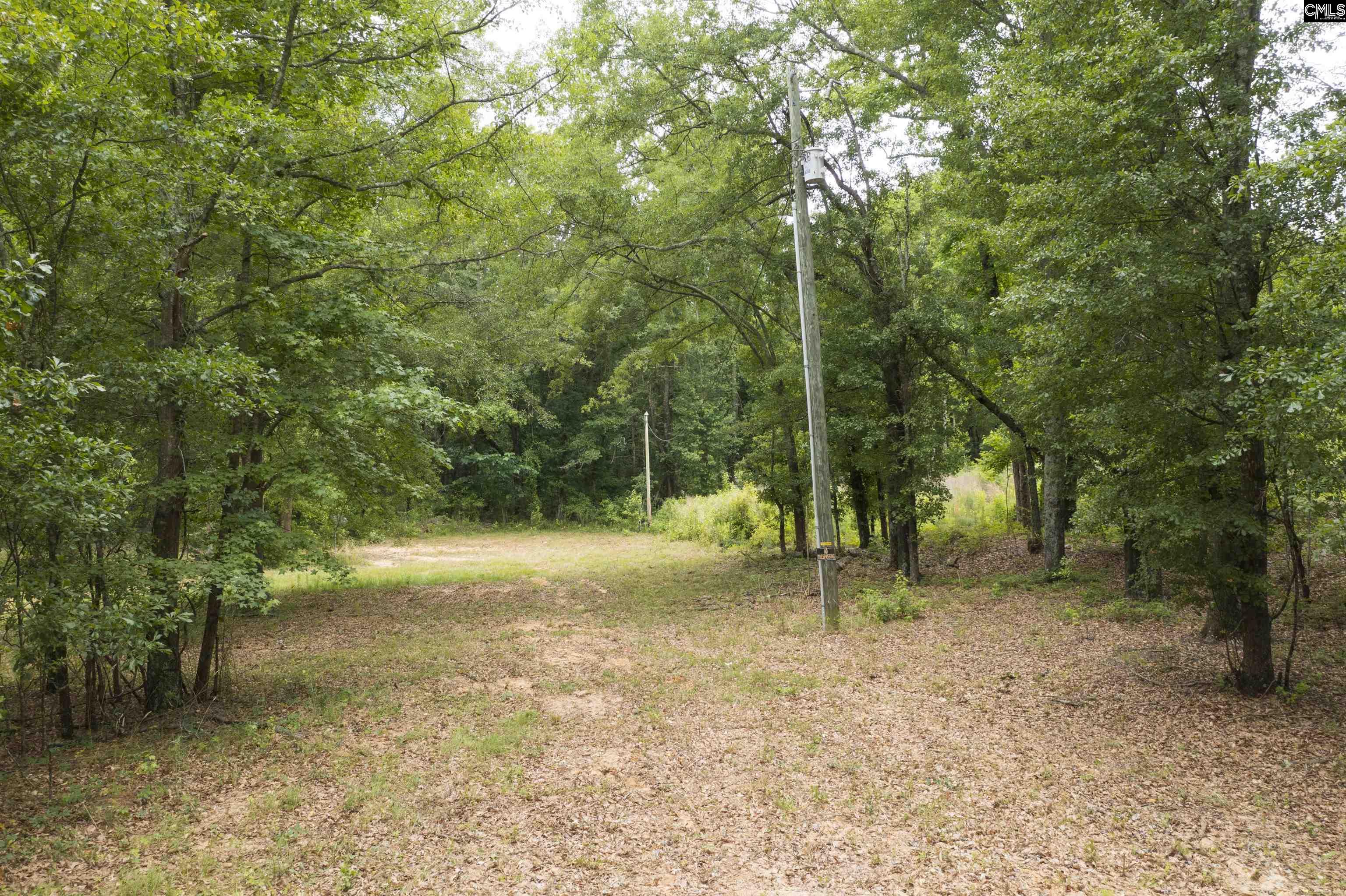 117 Glover Road, Pelion, South Carolina image 19