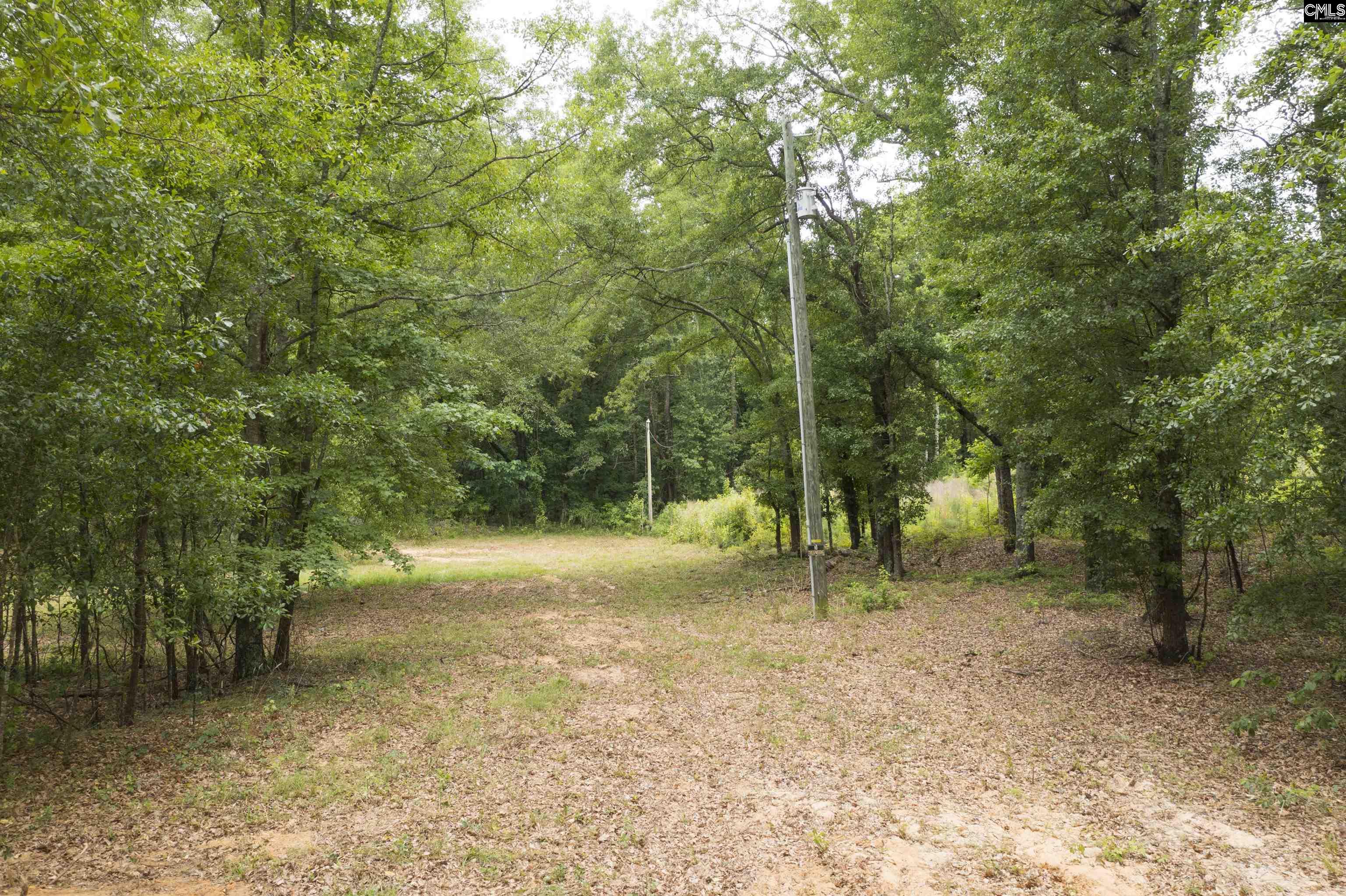117 Glover Road, Pelion, South Carolina image 20