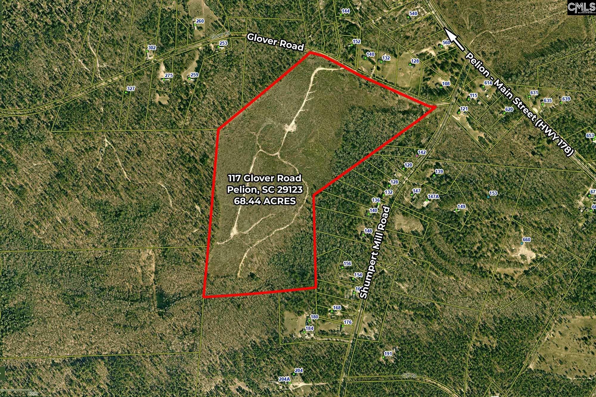 117 Glover Road, Pelion, South Carolina image 3