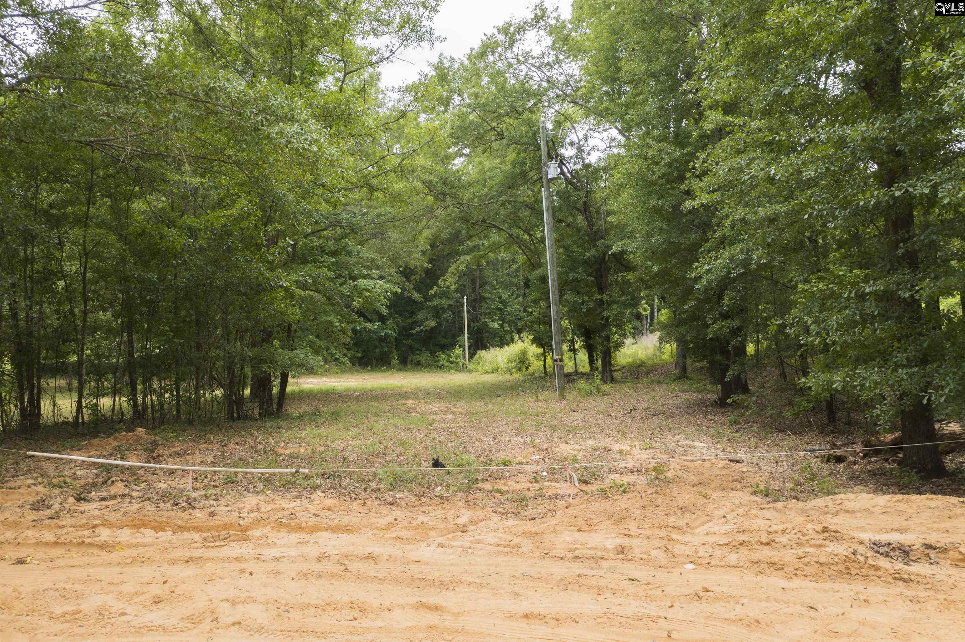 117 Glover Road, Pelion, South Carolina image 21