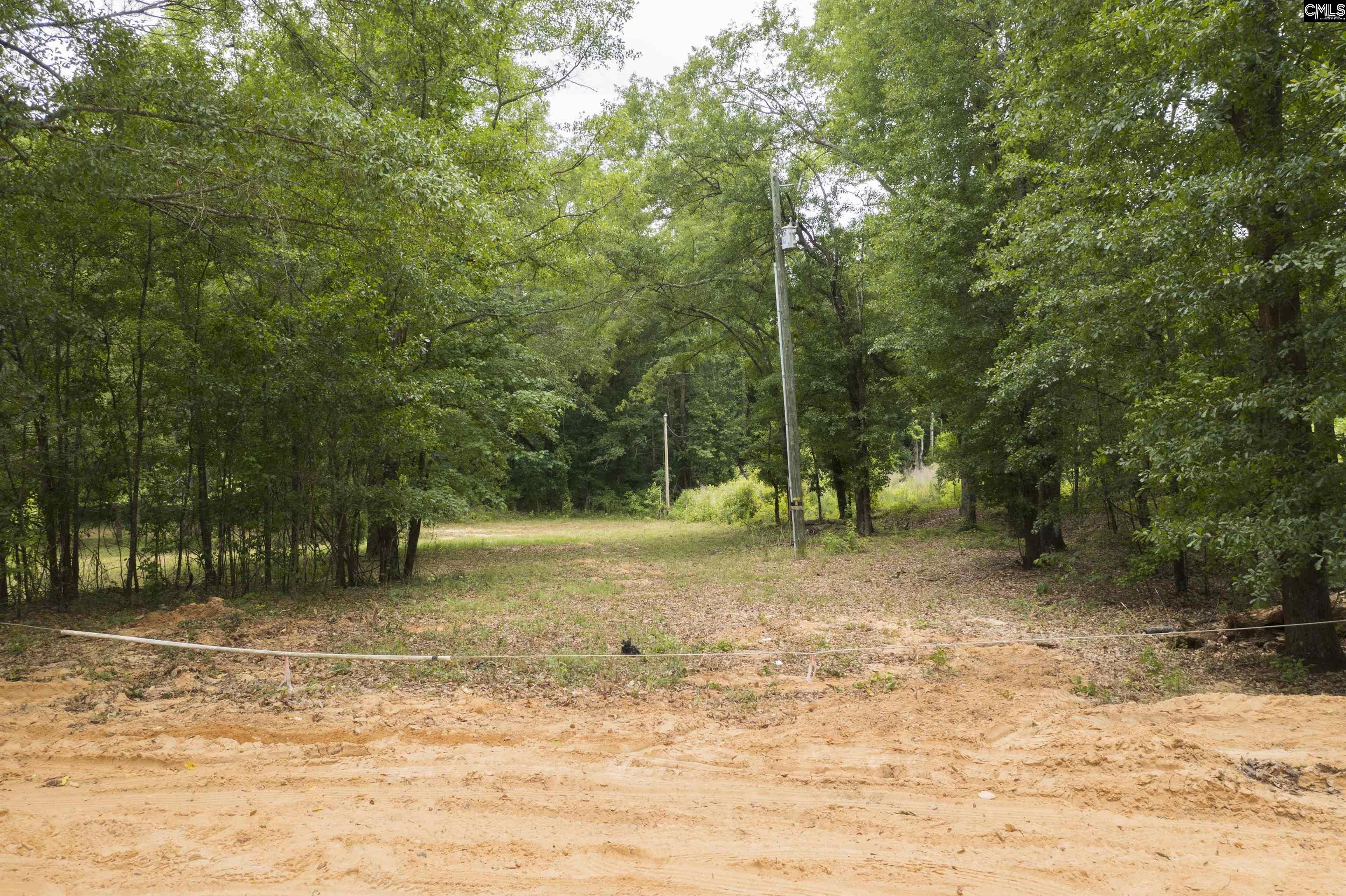 117 Glover Road, Pelion, South Carolina image 22